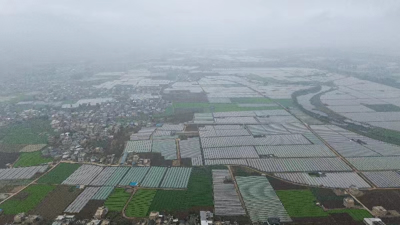 奋进新征程 推动新跨越 | 陆良县鱼塘村：党建“执笔” 绘就乡村振兴“水墨画”