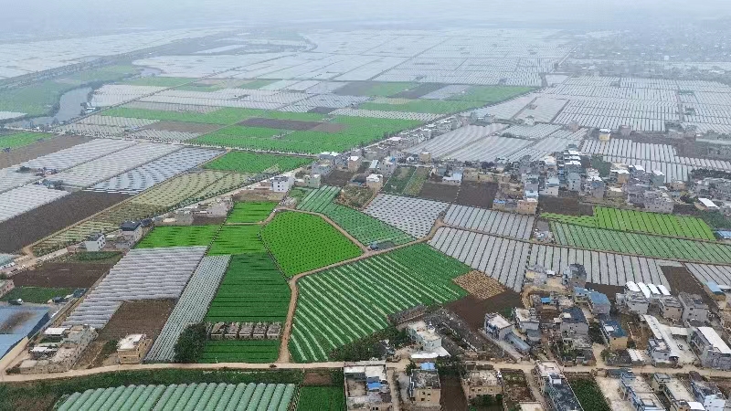 奋进新征程 推动新跨越 | 陆良县鱼塘村：党建“执笔” 绘就乡村振兴“水墨画”