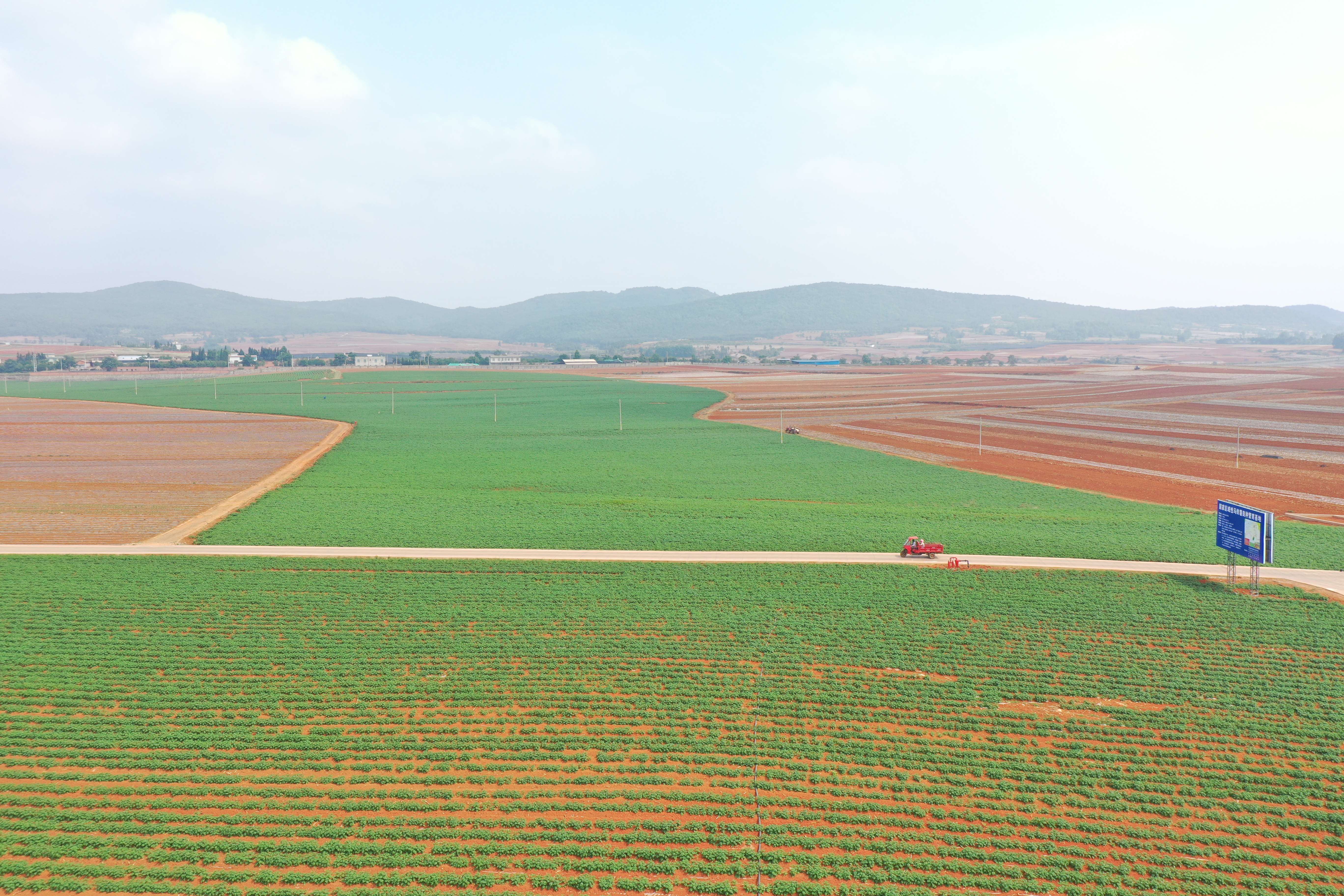 奋进新征程 推动新跨越丨宣威：攥紧农业“芯片”培育种业“龙头”