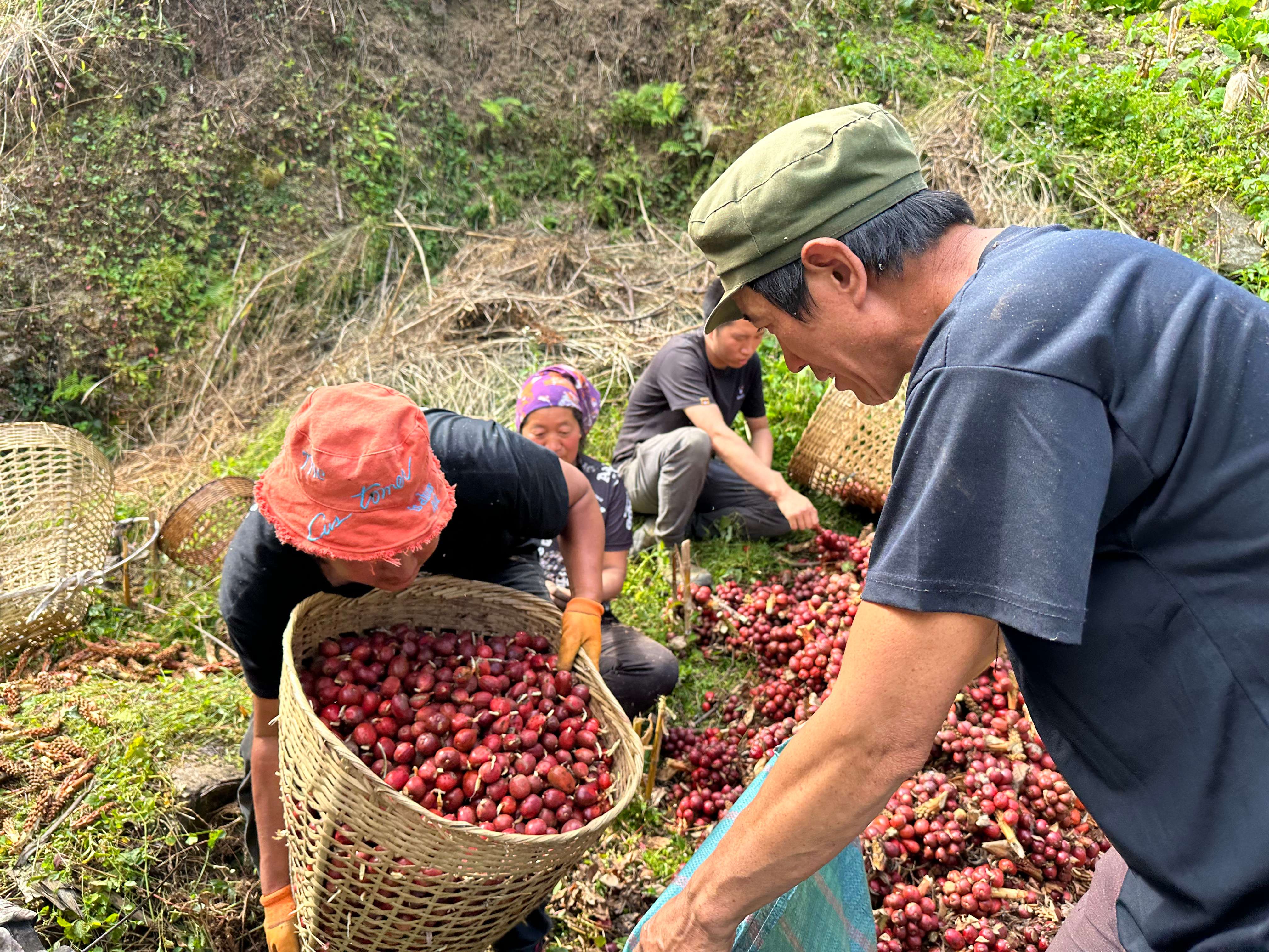 网格治疆看怒江｜网格员迪路夺：美丽村庄的建设者守护者