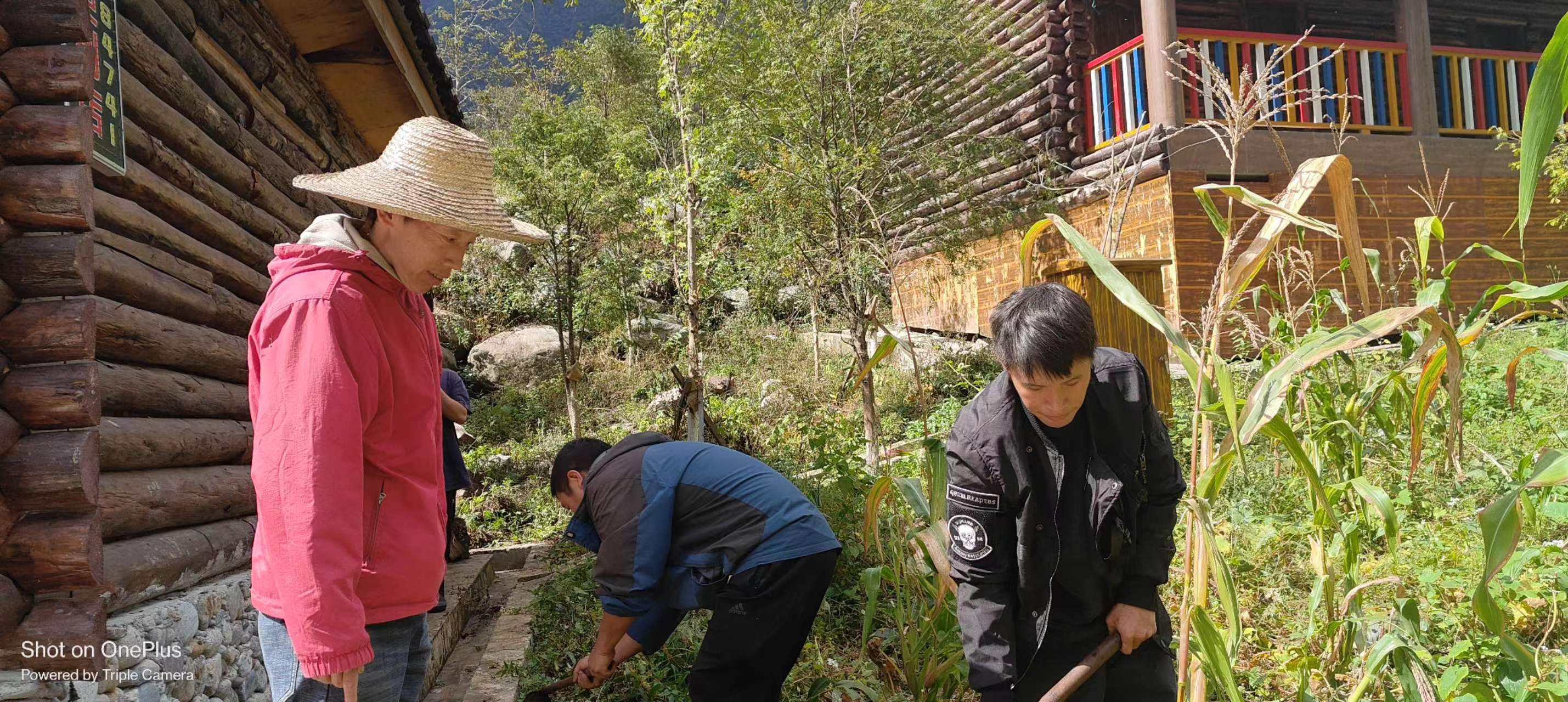 网格治疆看怒江｜迪政当村：“小网格”助推现代化边境幸福村建设