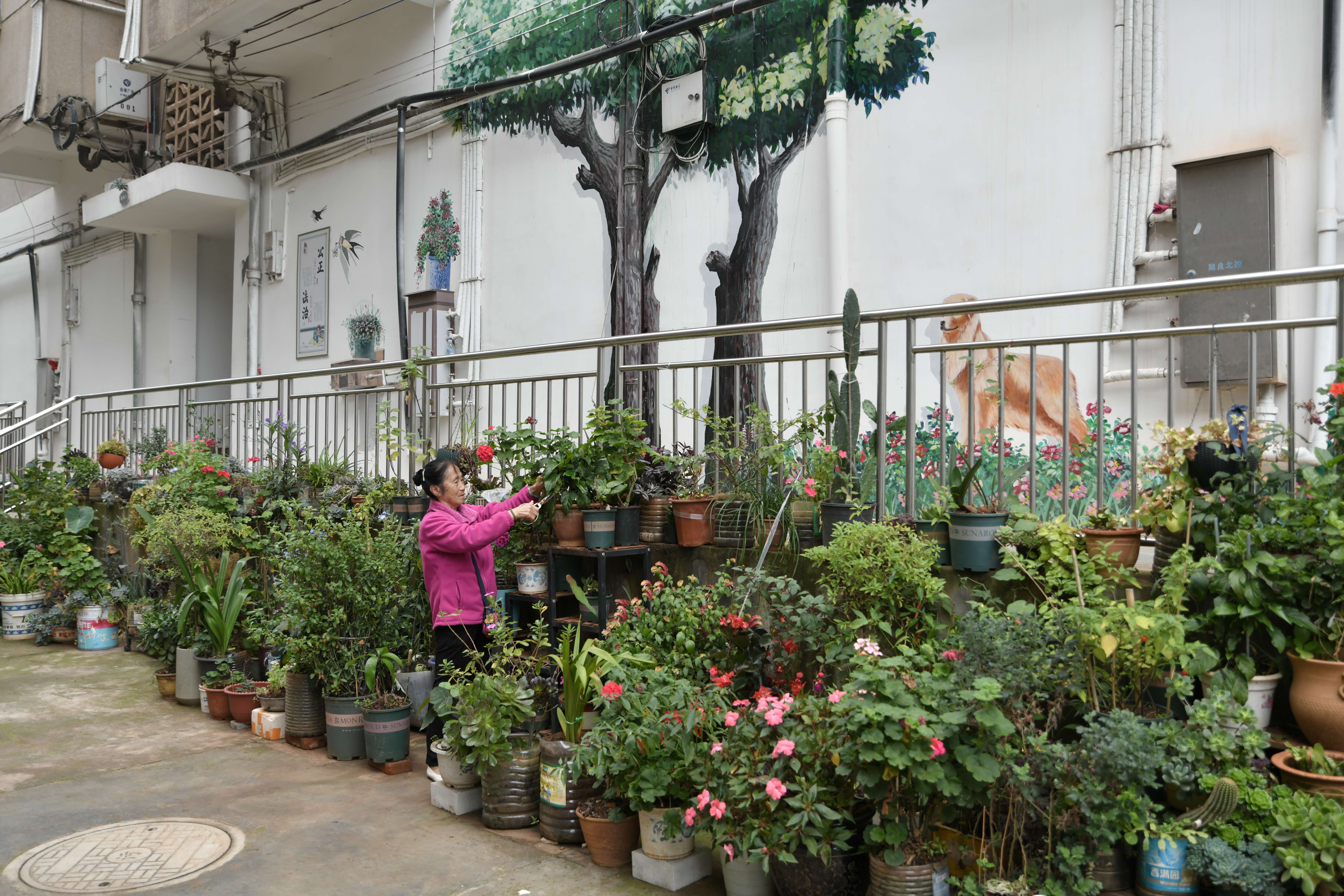 奋进新征程 推动新跨越｜陆良县银河小区：做好老旧小区改造“后半篇文章”