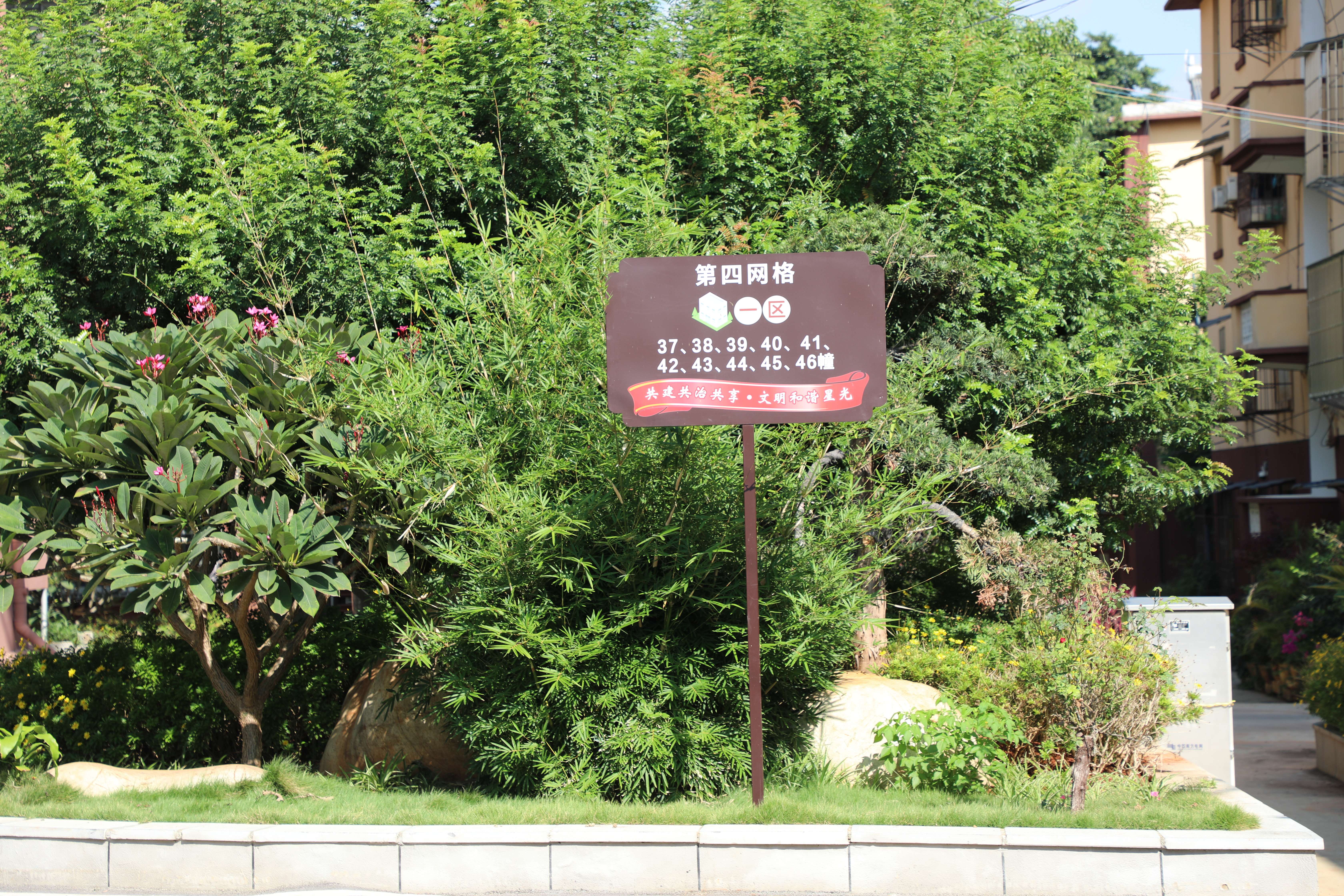 来去有念 何以开远 | 善治、精治、巧治 看开远如何书写基层治理精细化答卷