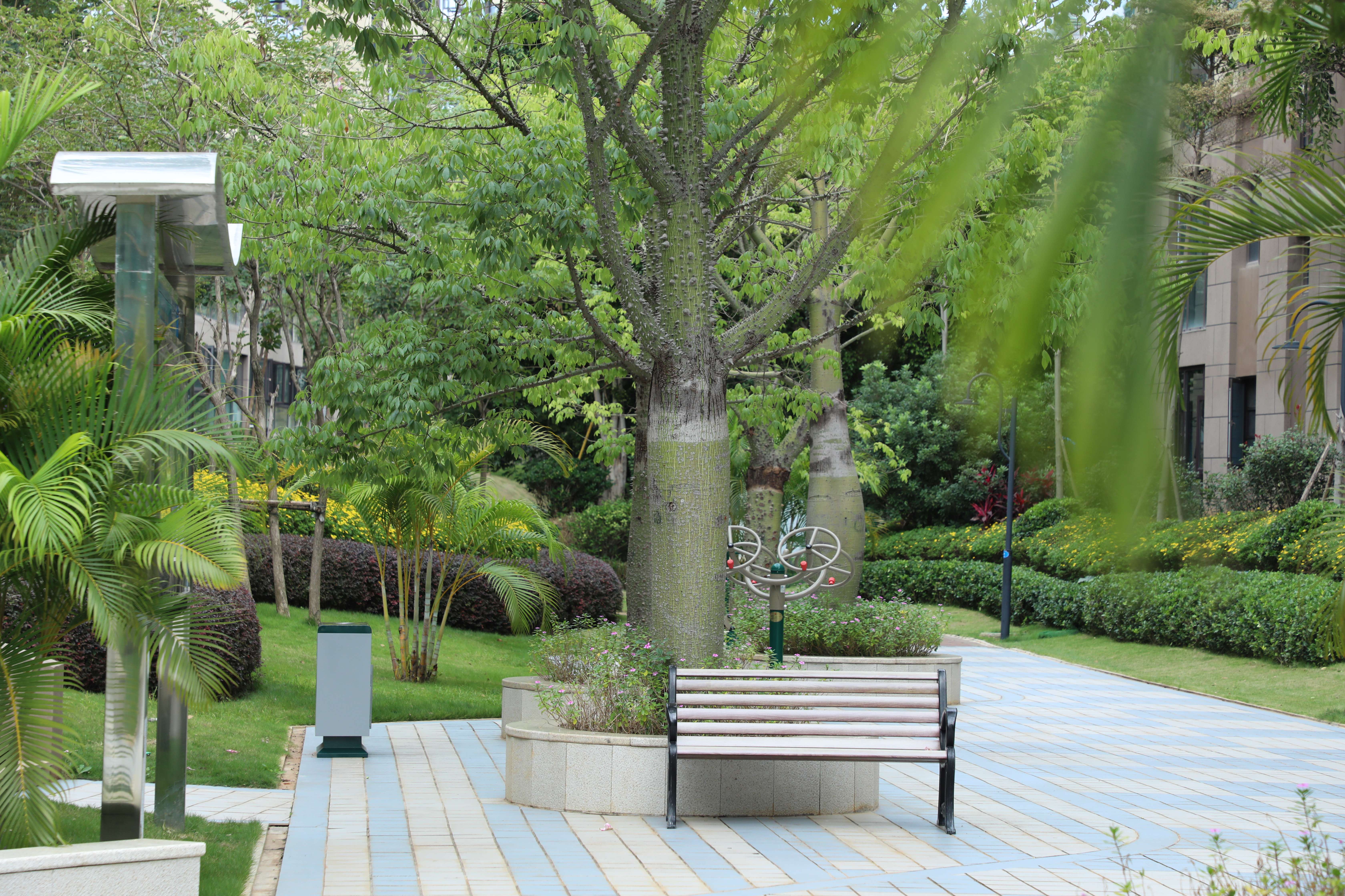 来去有念 何以开远 | 善治、精治、巧治 看开远如何书写基层治理精细化答卷