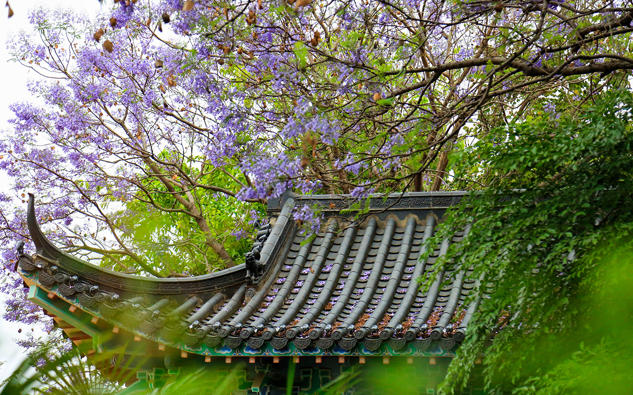 来去有念 何以开远 | 什么是泸江公园？