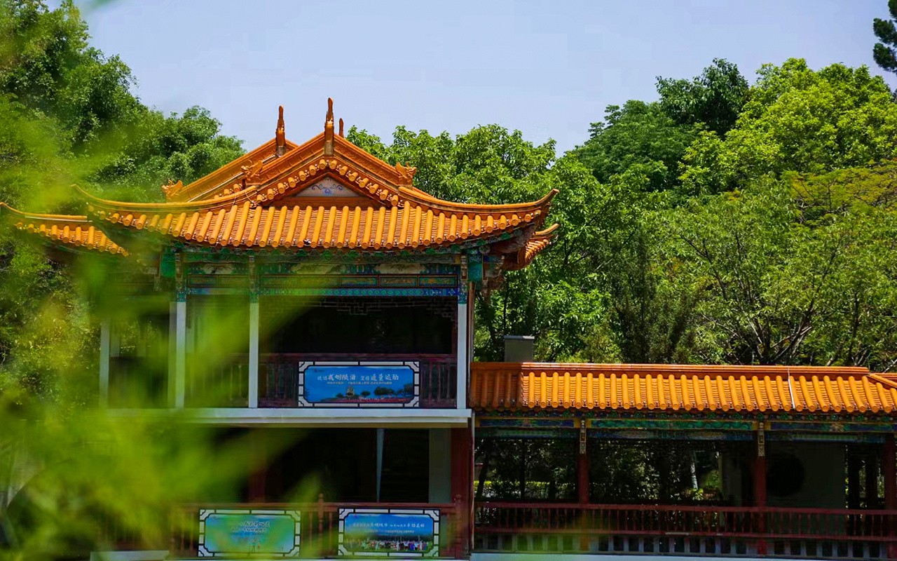 来去有念 何以开远 | 什么是泸江公园？