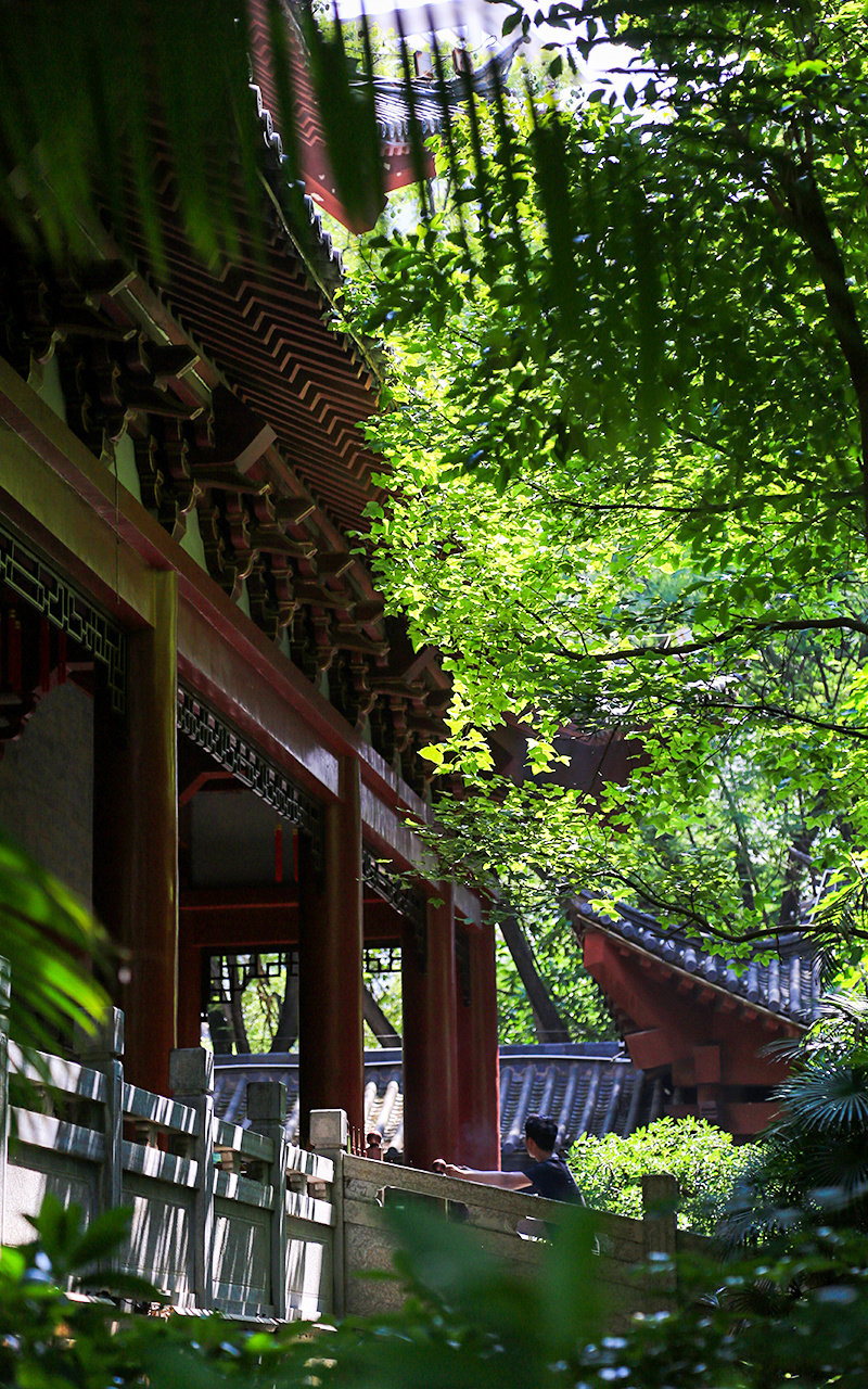 来去有念 何以开远 | 什么是泸江公园？