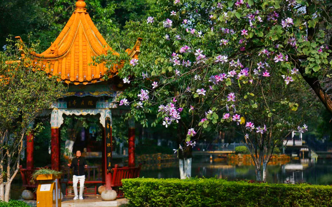 来去有念 何以开远 | 什么是泸江公园？