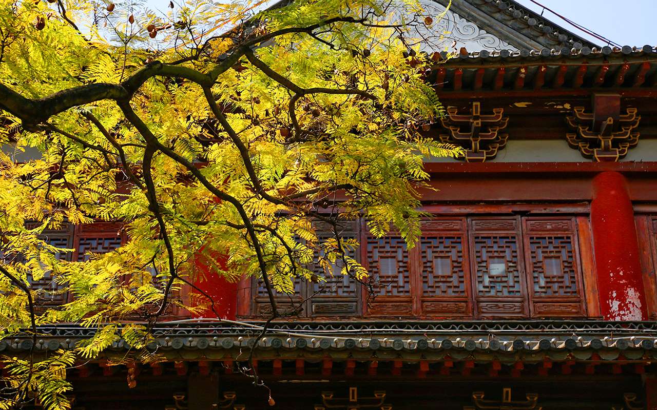 来去有念 何以开远 | 什么是泸江公园？