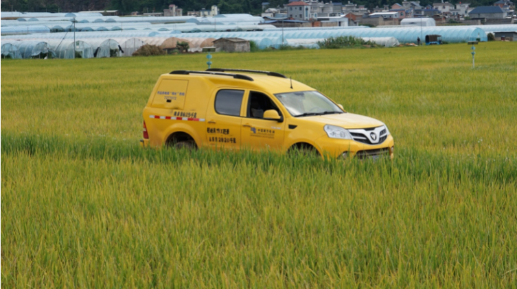 “零距离”通电 “米粮仓”飘香2.png