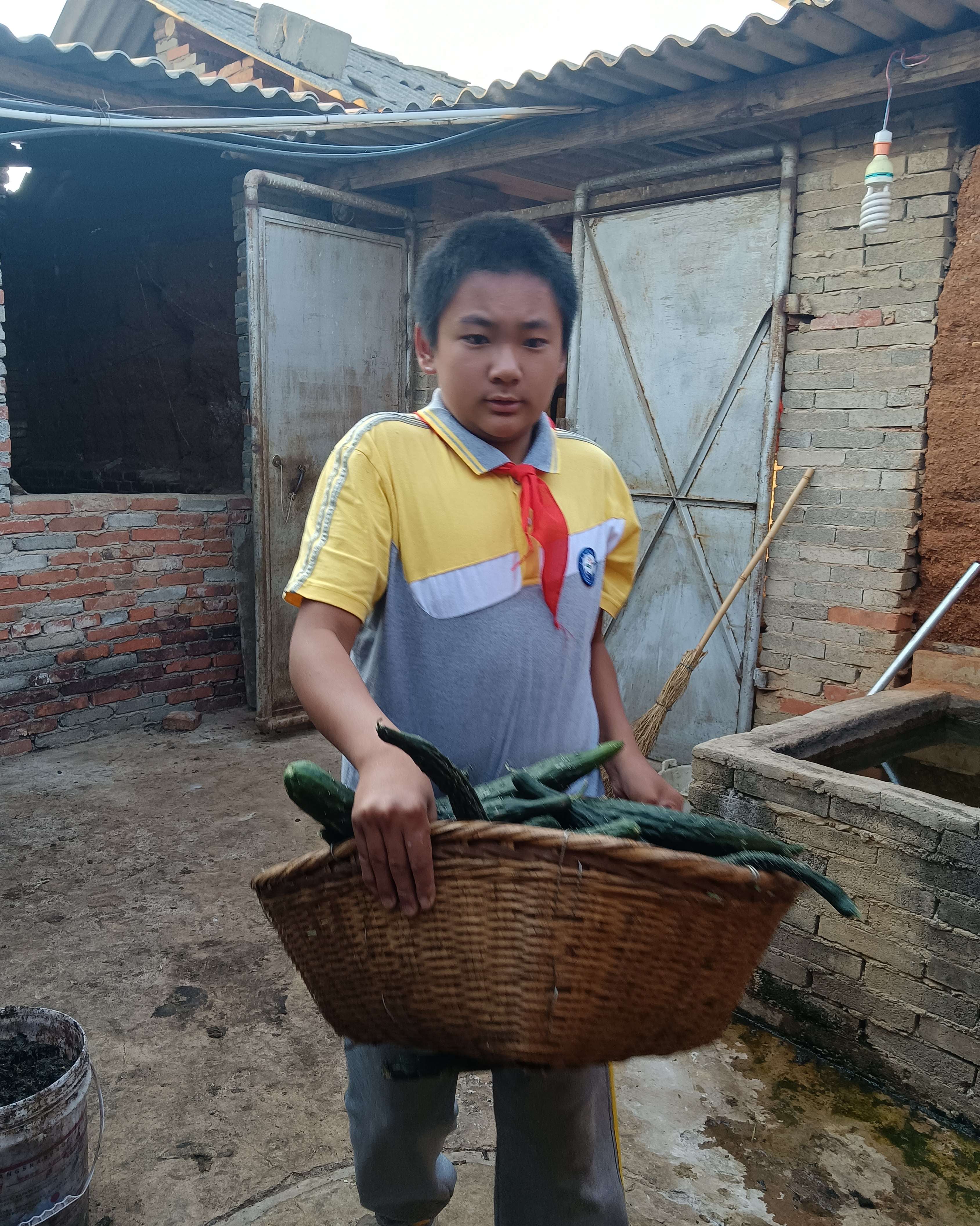 来去有念 何以开远|新时代云南好少年罗守信：小小少年 温暖如光