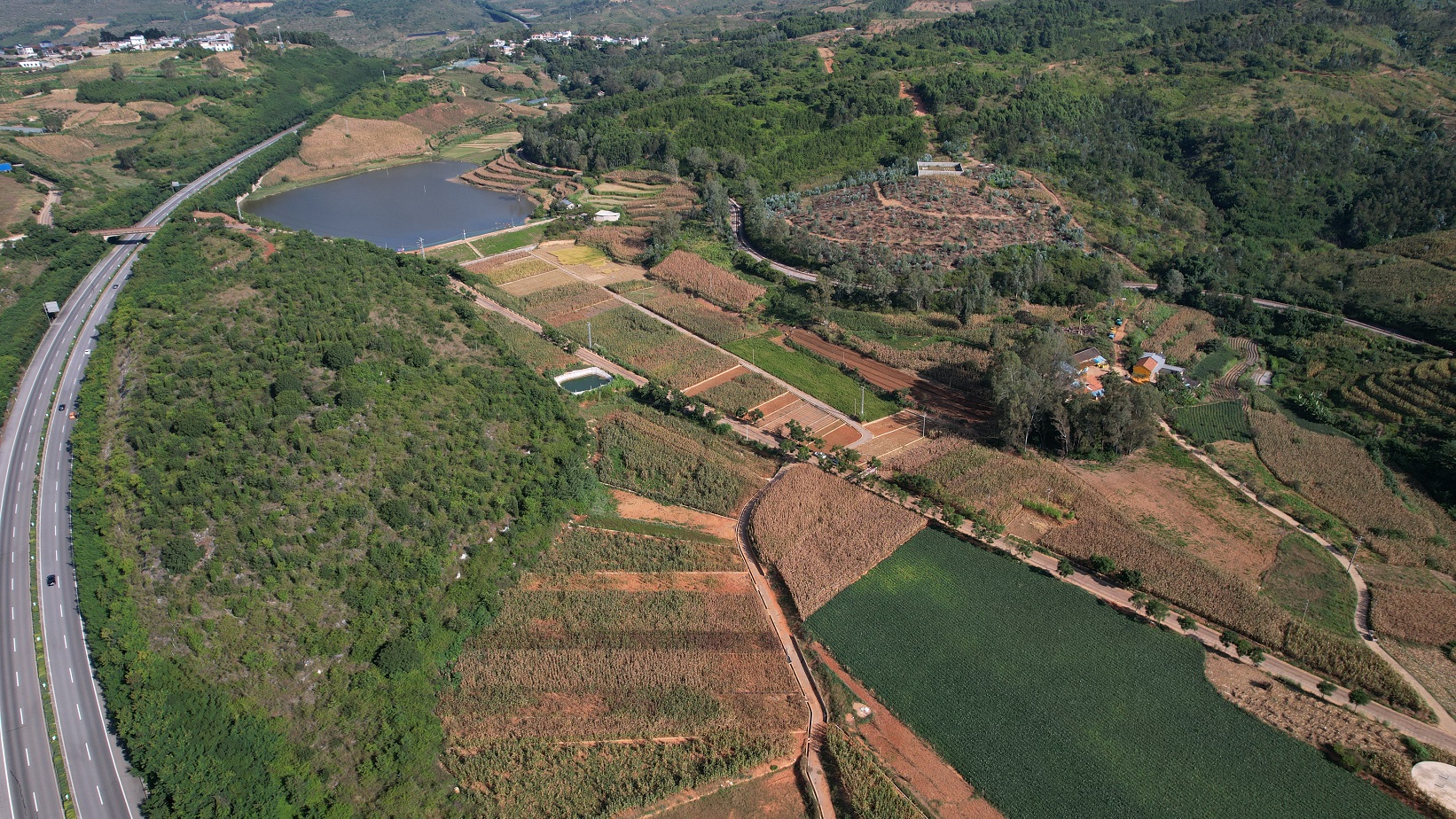 来去有念 何以开远 | 高标准农田建设助农增收