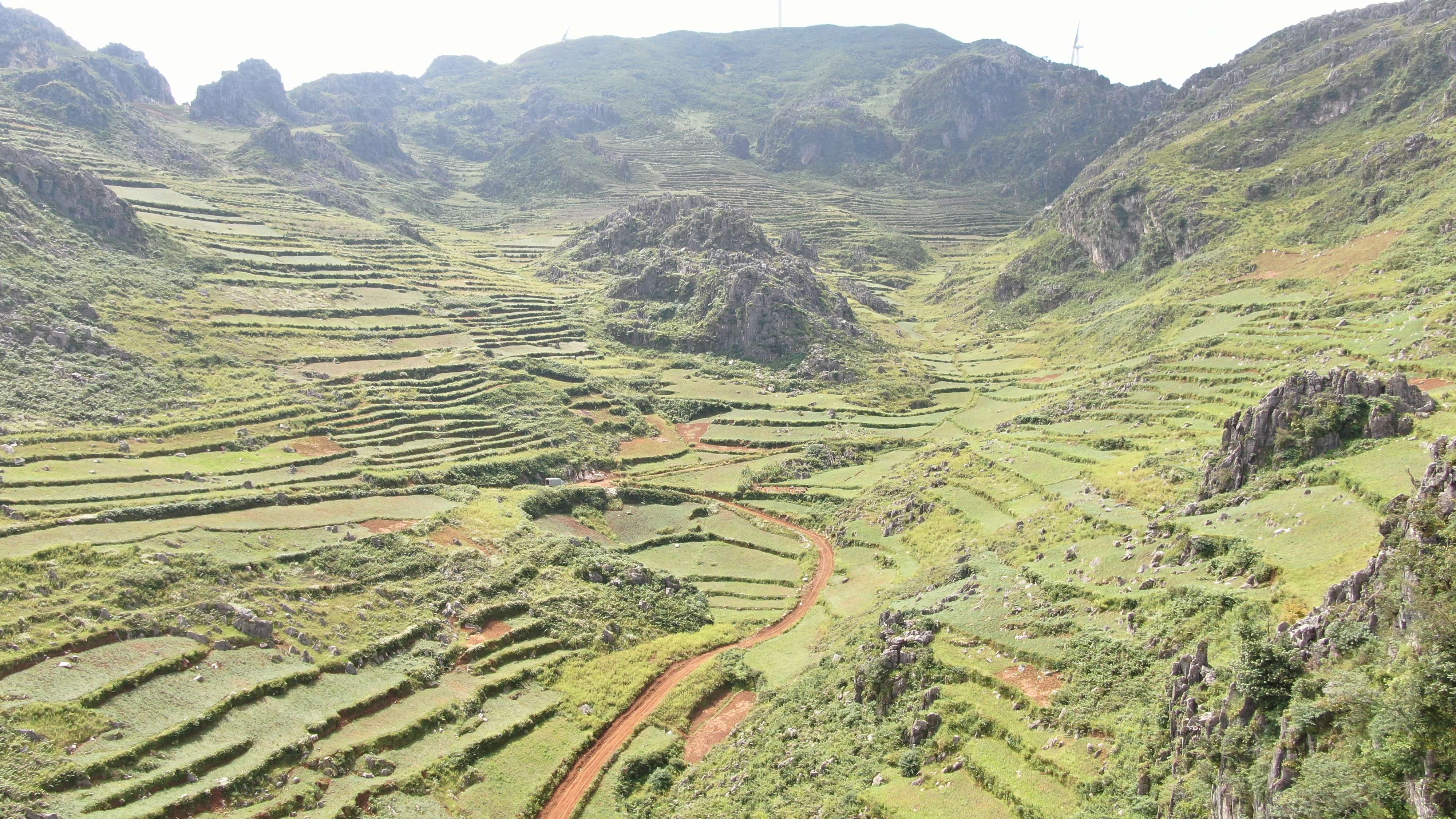 来去有念 何以开远|开远：小藠头打响“土特产”大品牌