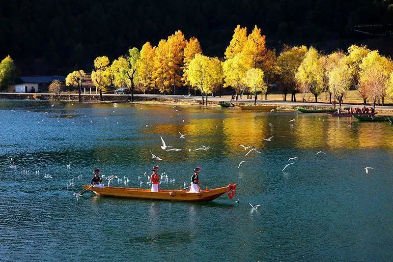 省委书记诚邀海内外朋友共建共享“有一种叫云南的生活”