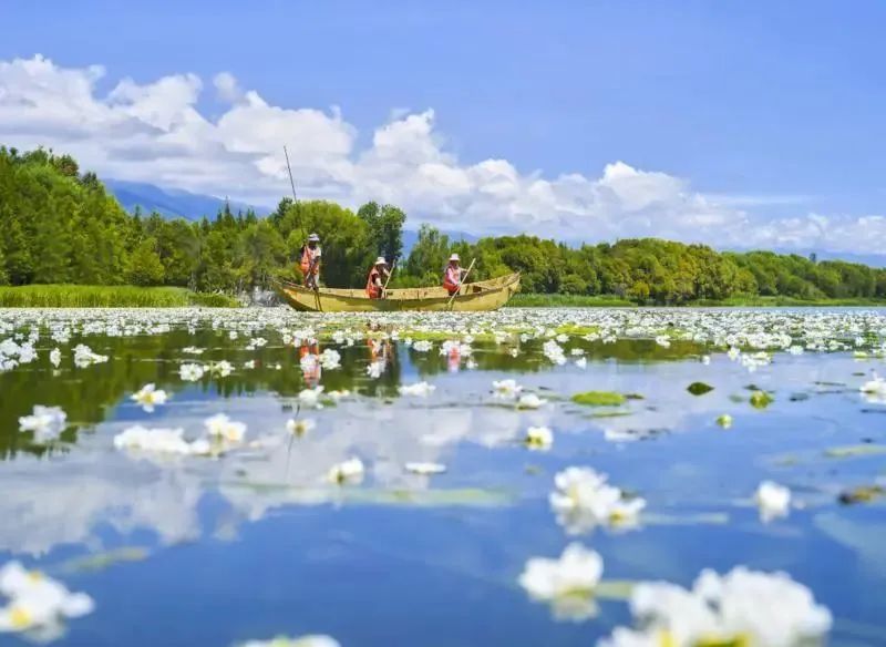 省委书记诚邀海内外朋友共建共享“有一种叫云南的生活”