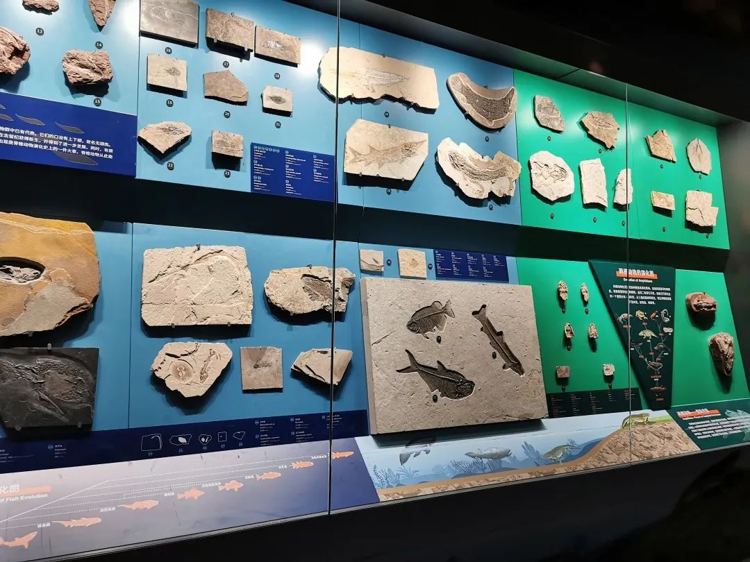 省委书记诚邀海内外朋友共建共享“有一种叫云南的生活”