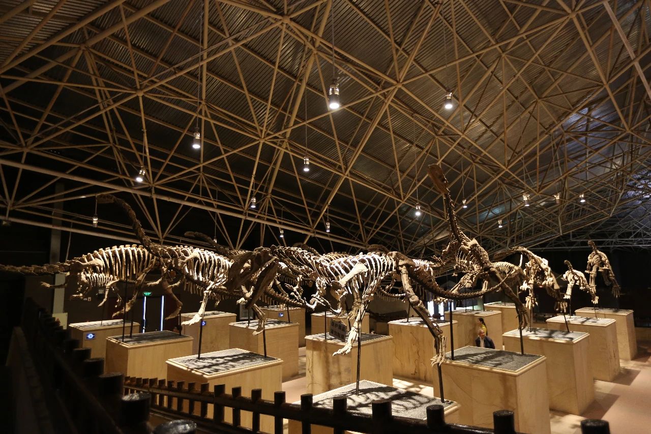 省委书记诚邀海内外朋友共建共享“有一种叫云南的生活”