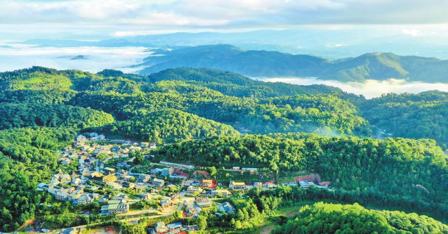 省委书记诚邀海内外朋友共建共享“有一种叫云南的生活”