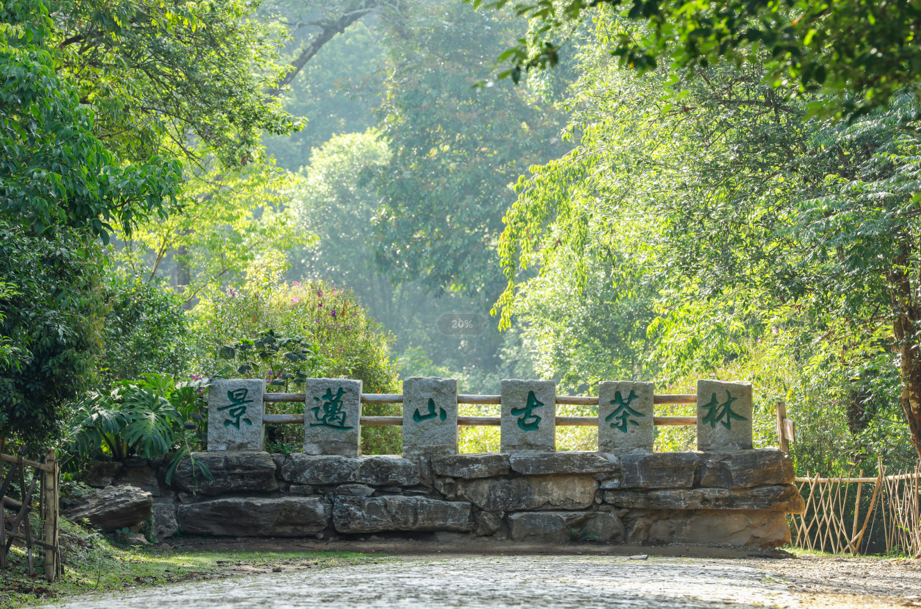 什么是“有一种叫云南的生活”？听省委书记娓娓道来～