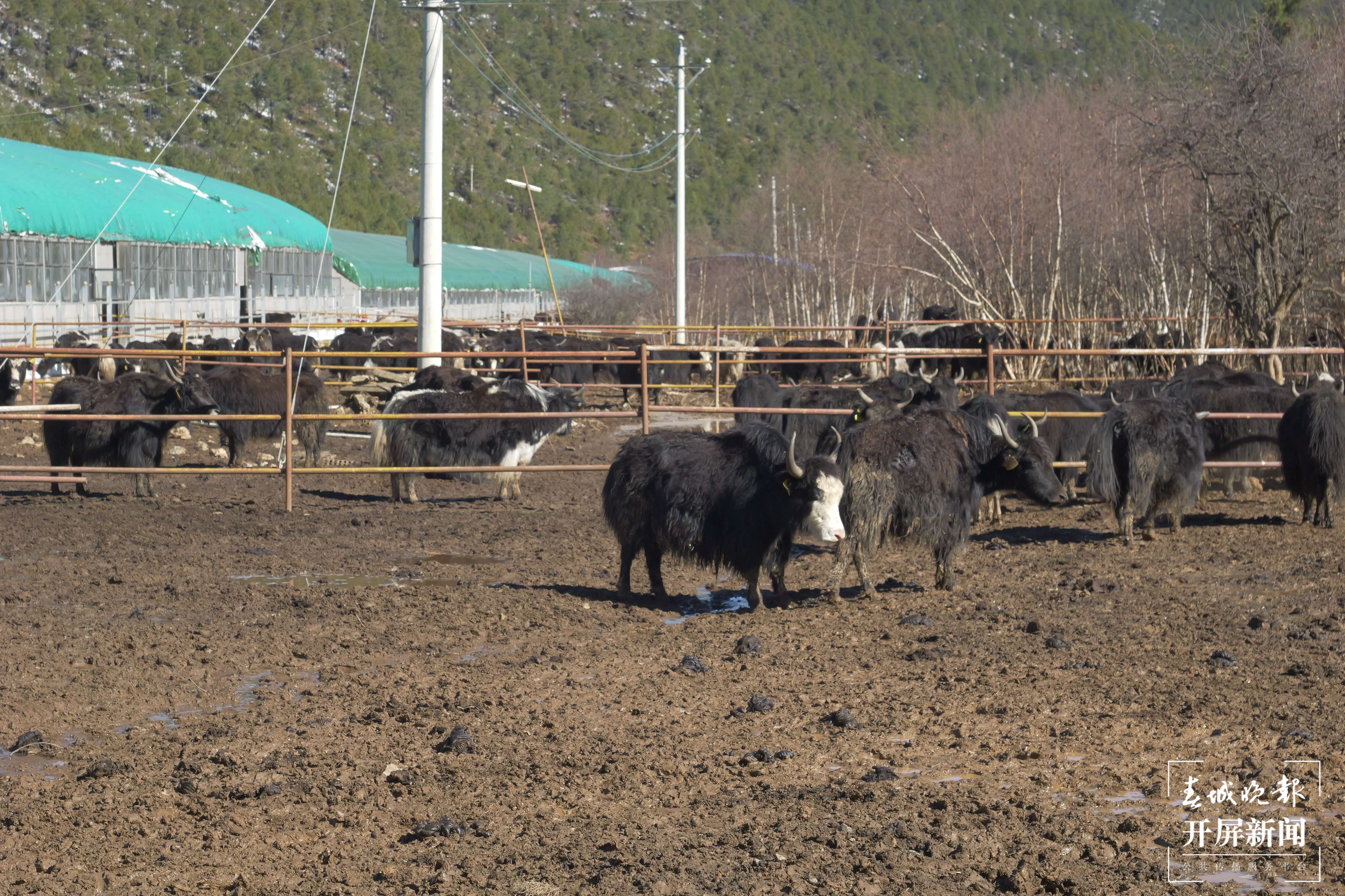丽香铁路资料图（风景：杜帆；现场：翟剑）