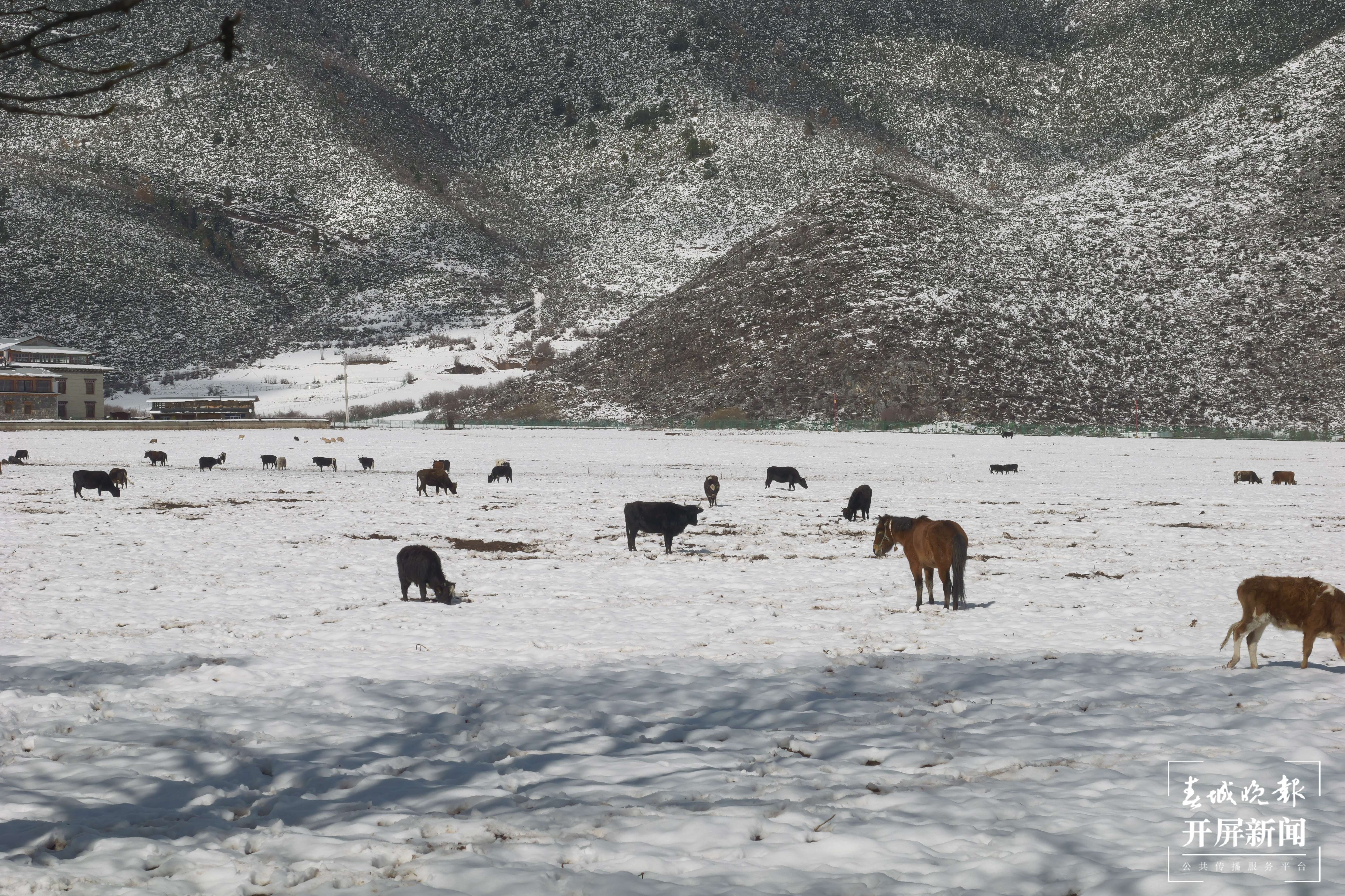 丽香铁路资料图（风景：杜帆；现场：翟剑）