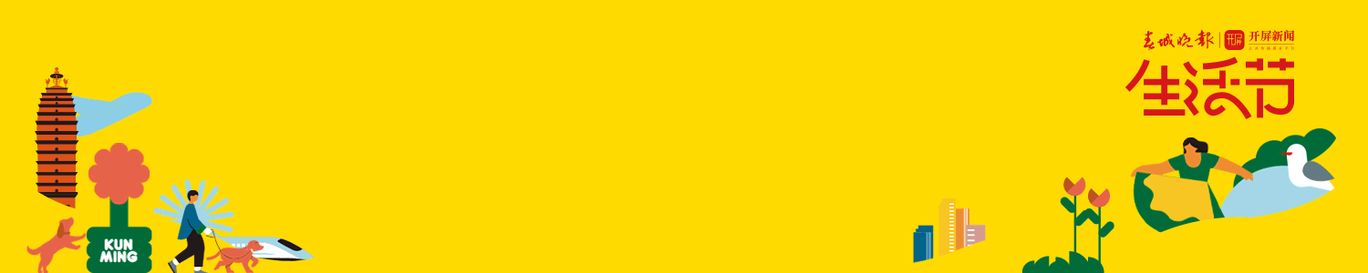 春城晚报-开屏新闻·生活节（栏题图·以此为准·512）