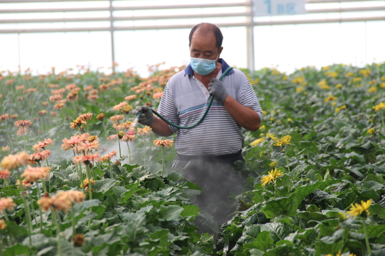 展实力 闯出转型发展新路2.png