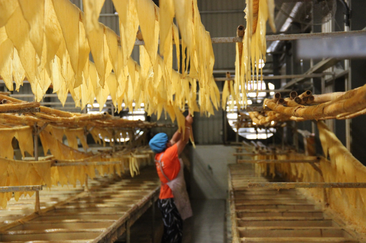 展实力 闯出转型发展新路3.png