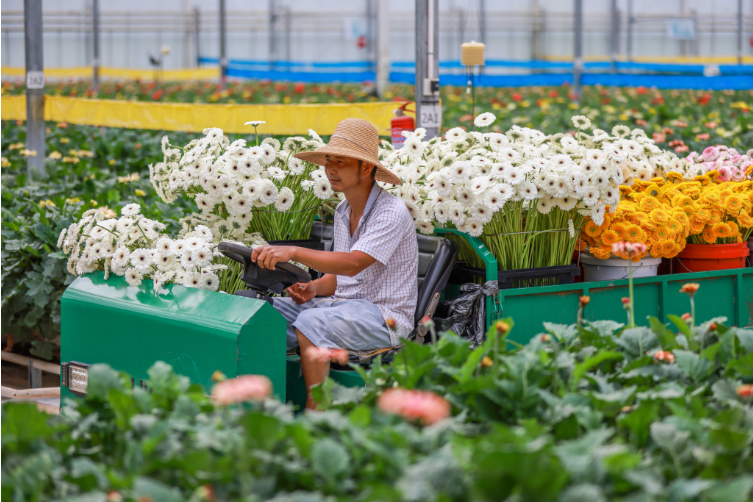 展实力 闯出转型发展新路1.png
