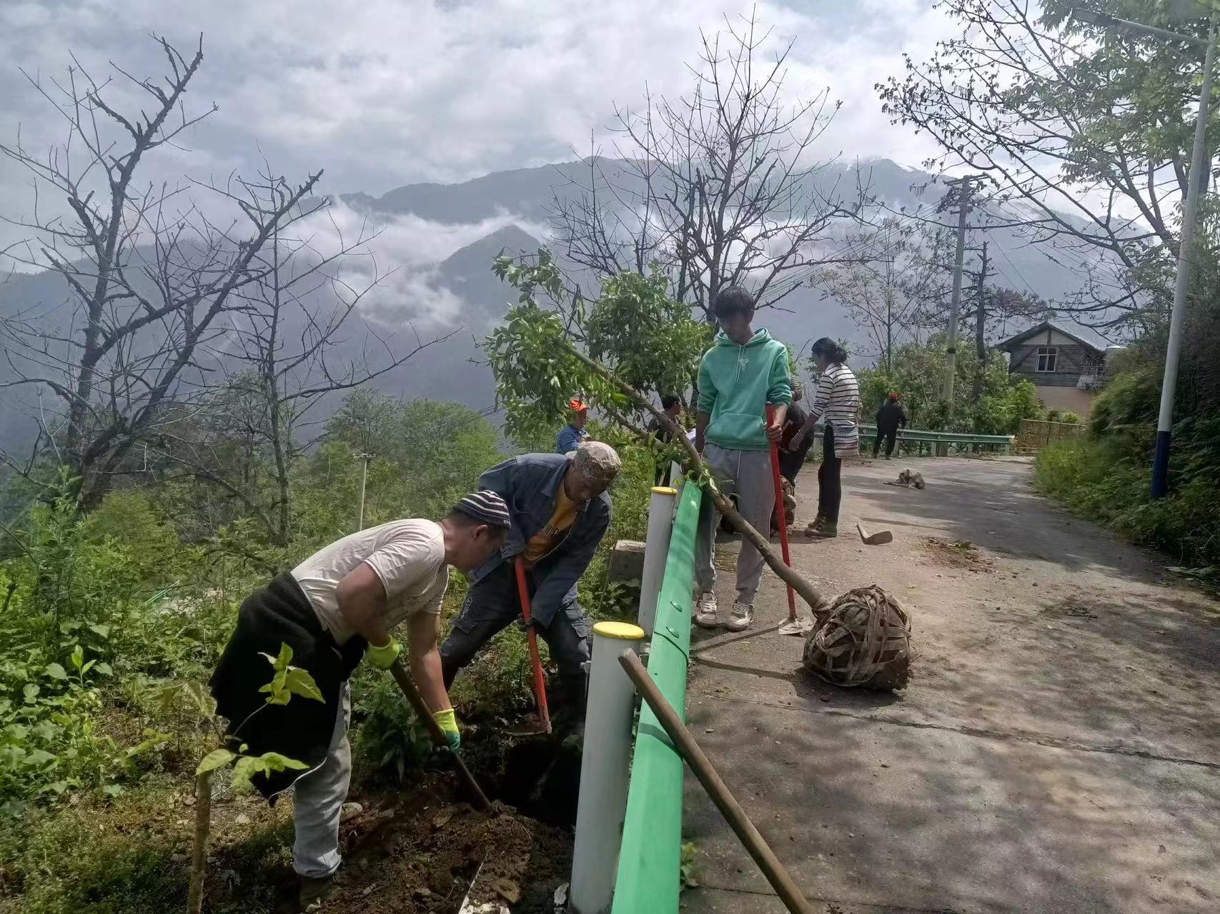 网格治疆看怒江 | 马西当村：“网格＋党建”助力乡村提颜值