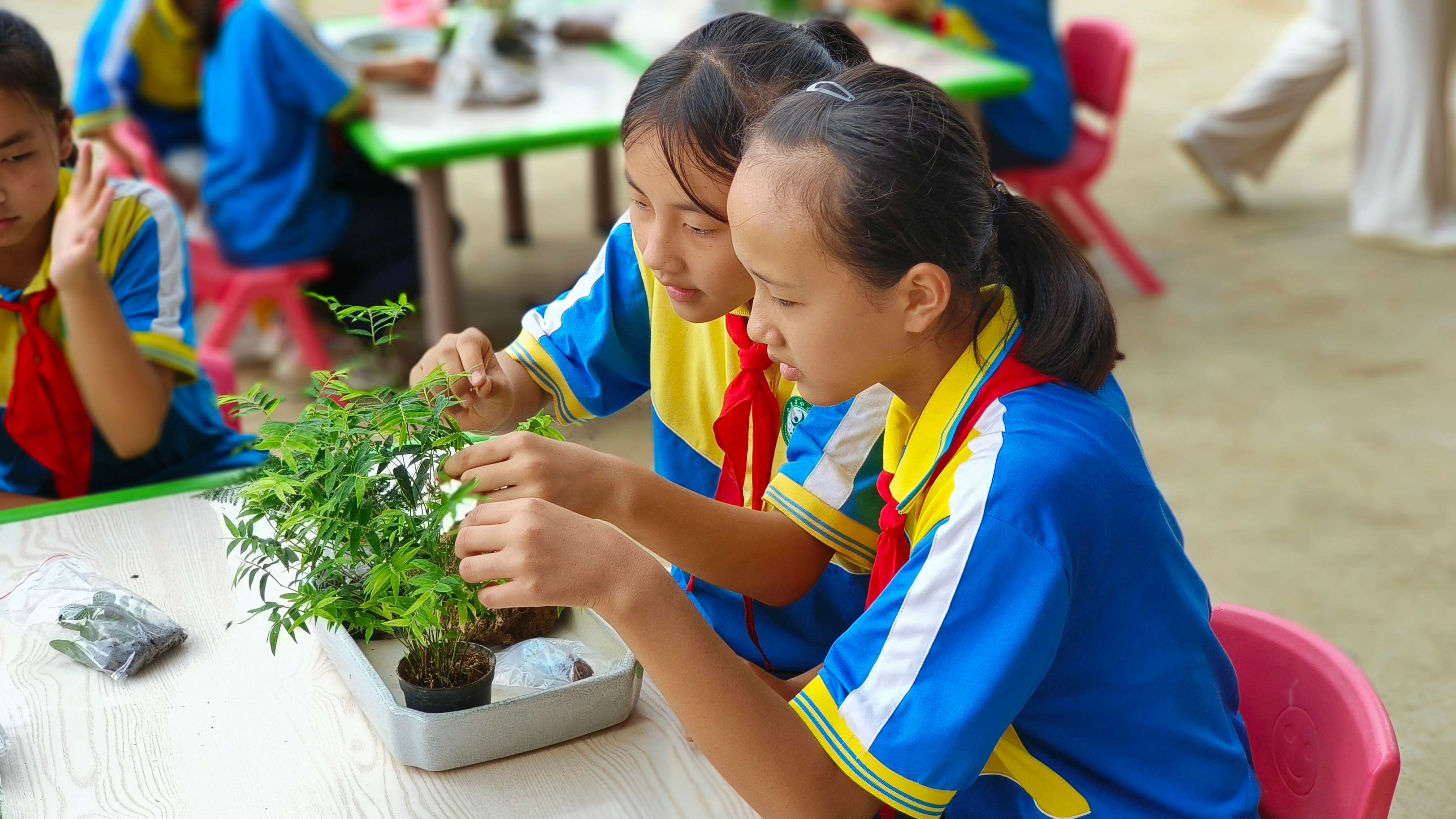 创文明 让市民乐享好生活11.jpg