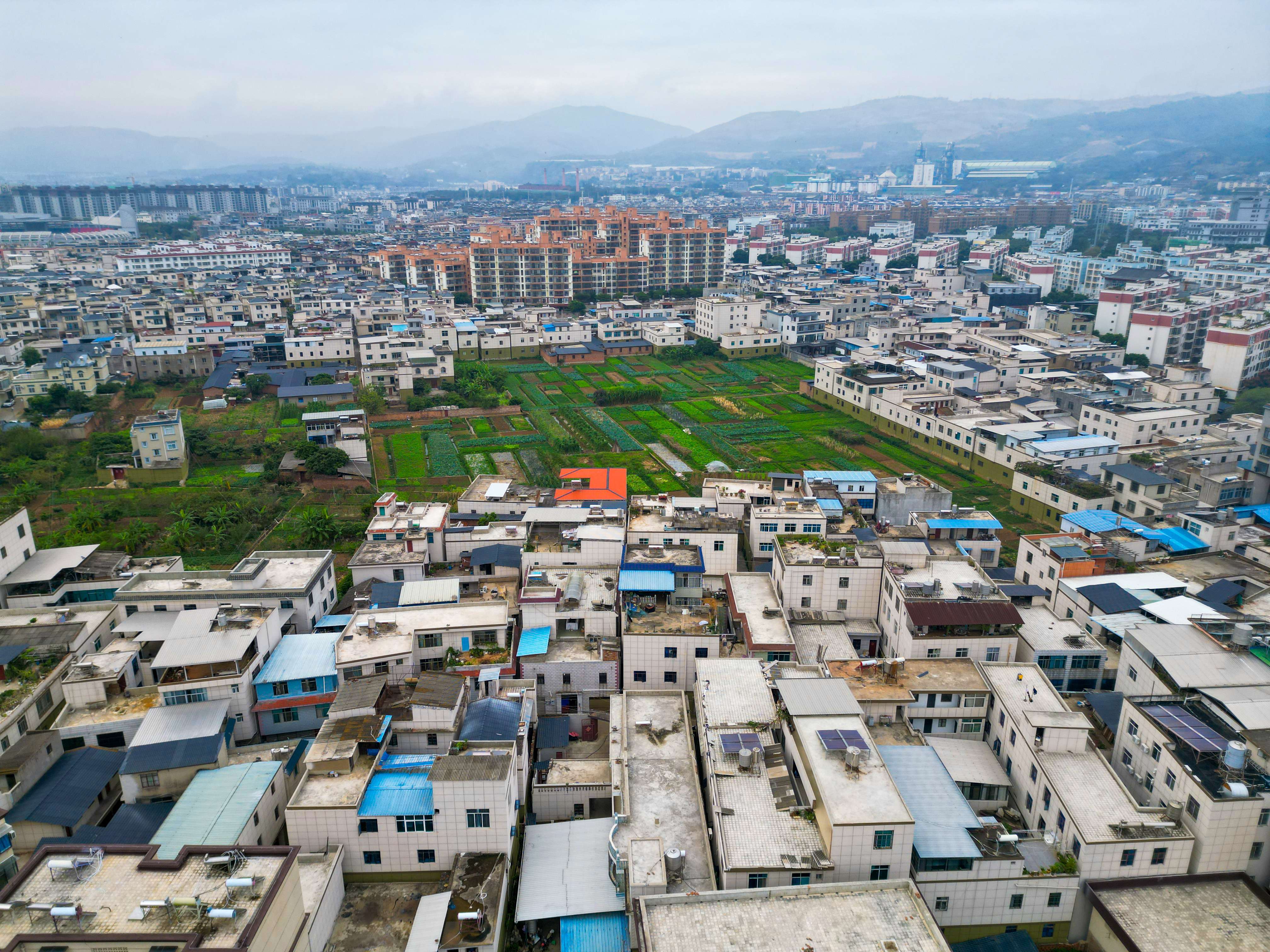 创文明 让市民乐享好生活2.jpg