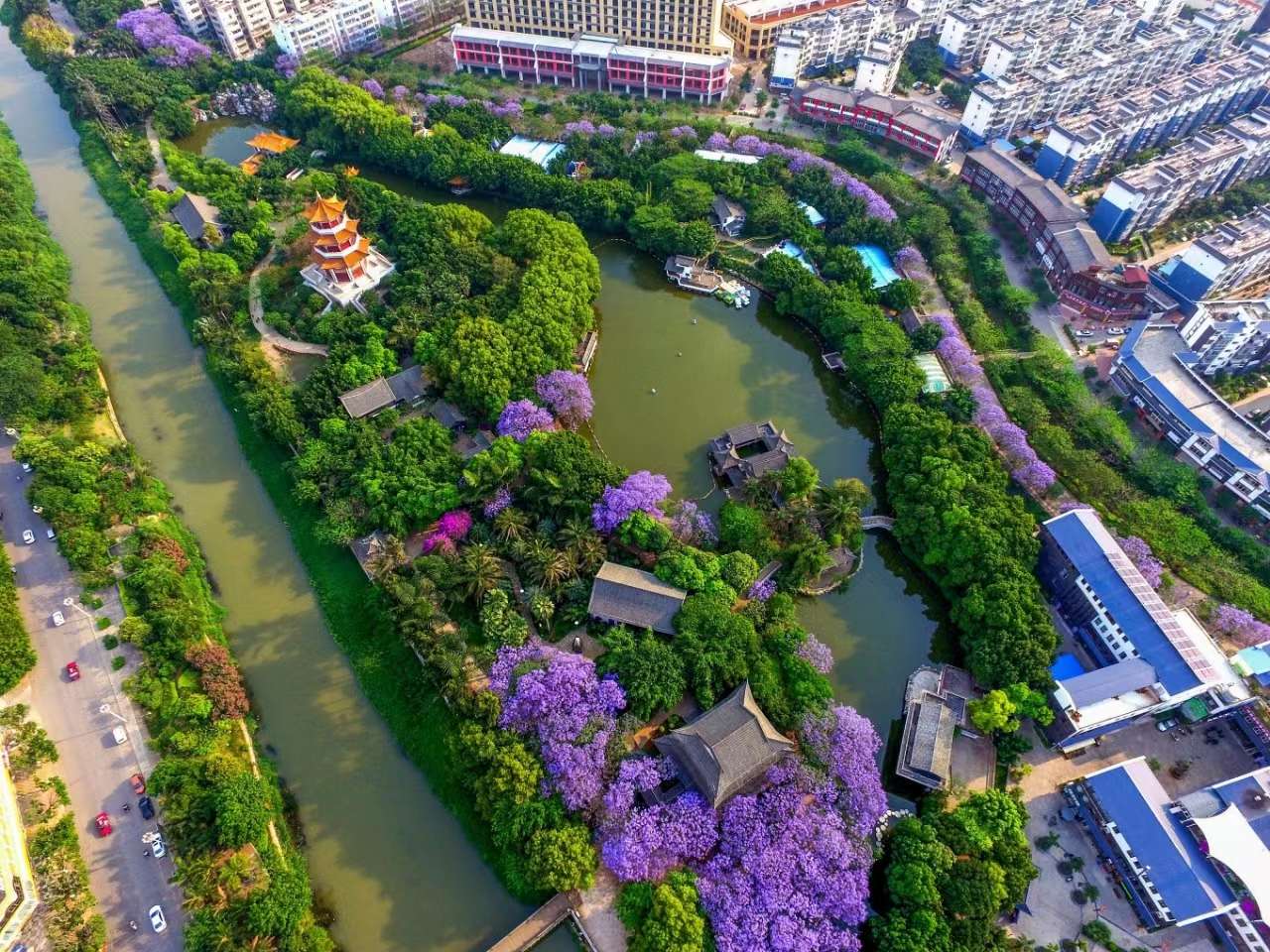 来去有念 何以开远 | 绘绿美 实现绿水青山理想