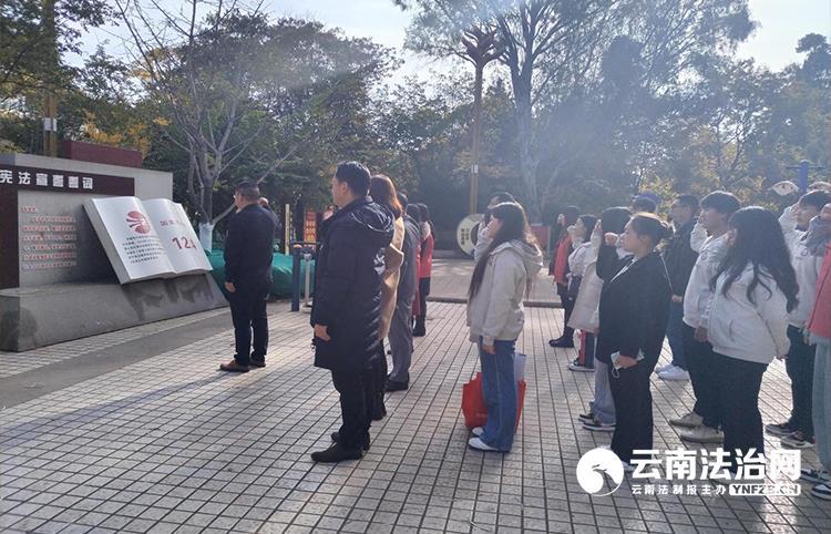 宪”在出发 与法同行 嵩明司法 “12·4”普法宣传系列活动精彩纷呈.jpg