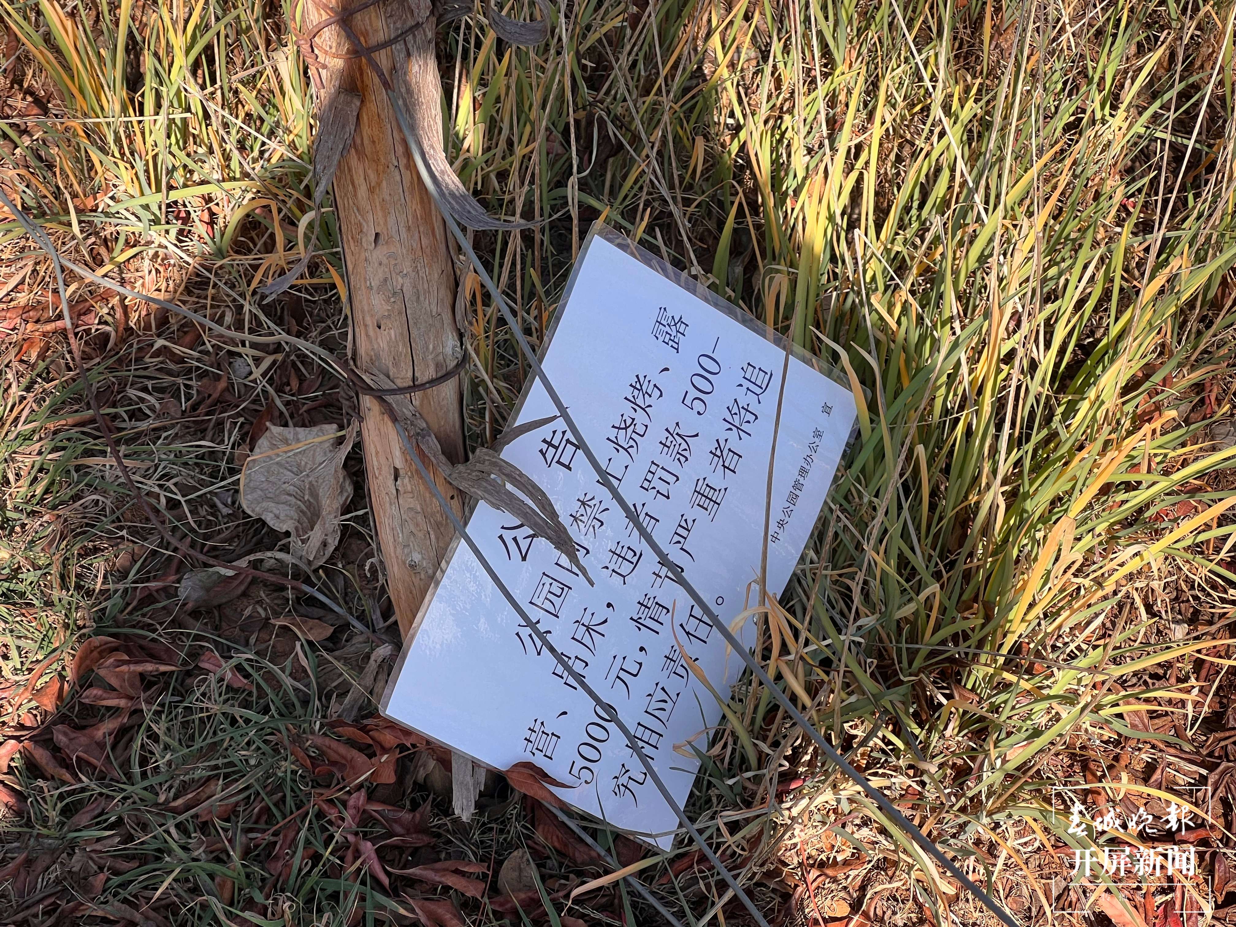 挂在草坪边上的公告.jpg