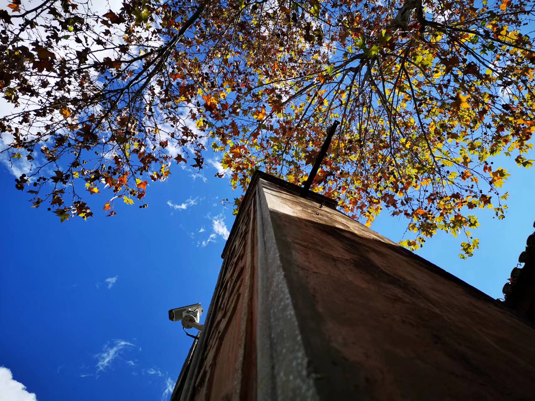 大理美好生活季|流淌在千年时空之外的古城巍山
