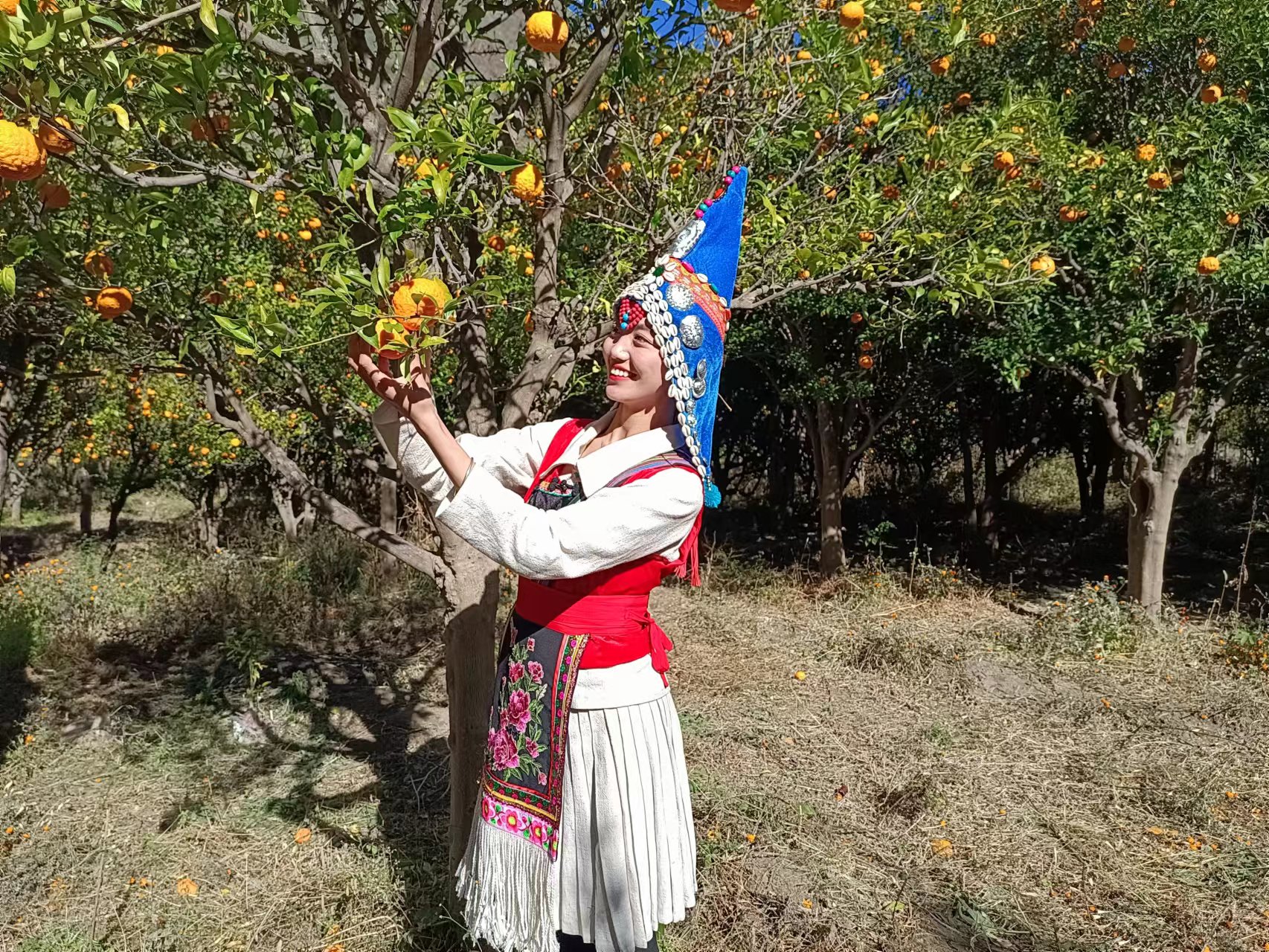 富裕美丽之城 和谐香格里拉 | “富裕美丽之城 和谐香格里拉”全媒体采访活动启动