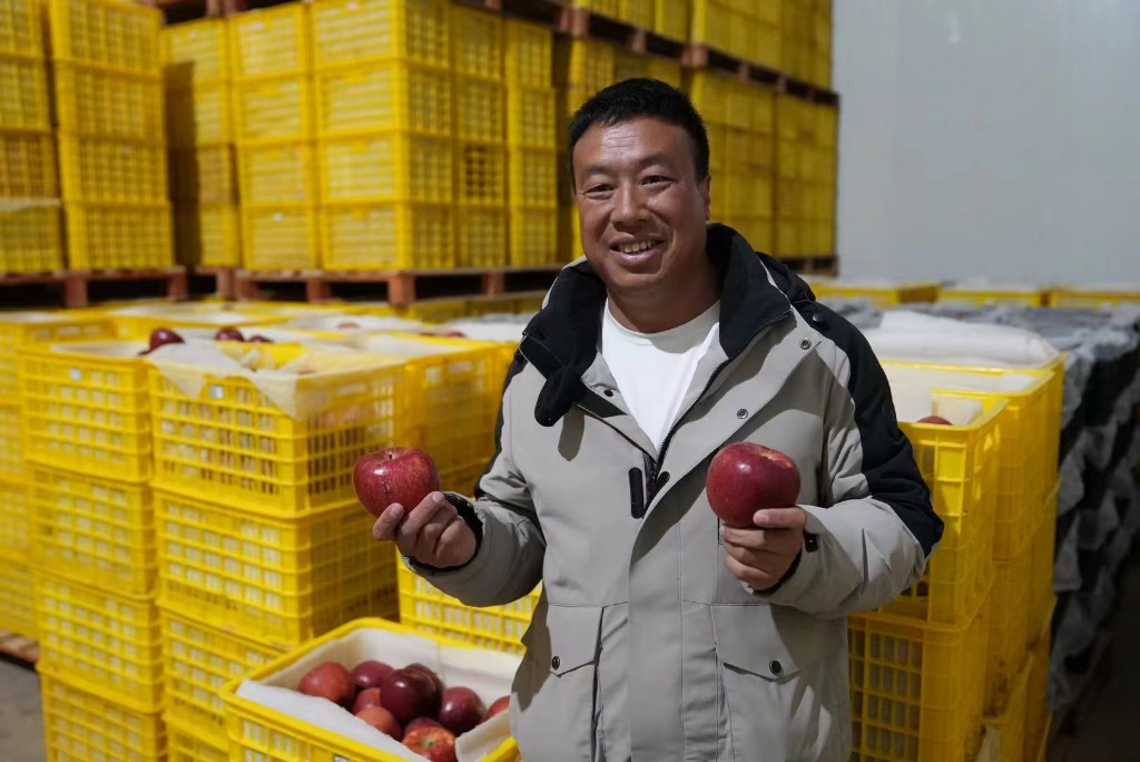 富裕美丽之城 和谐香格里拉 | 科技果园促增收 小苹果托起乡村振兴大发展