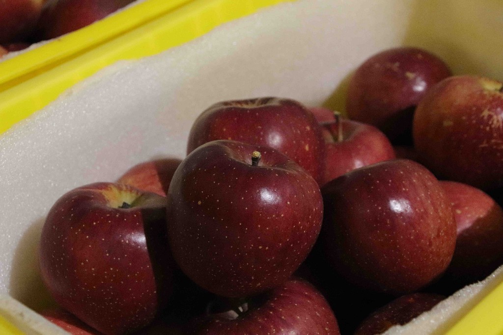 富裕美丽之城 和谐香格里拉 | 科技果园促增收 小苹果托起乡村振兴大发展