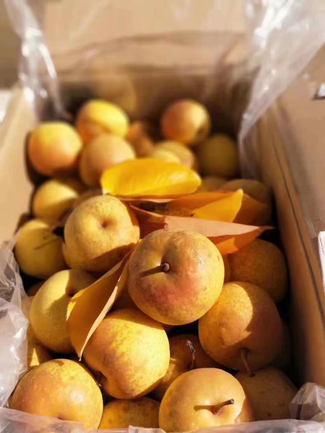 富裕美丽之城 和谐香格里拉｜“变废为宝”，香格里拉市东旺乡拓宽致富路