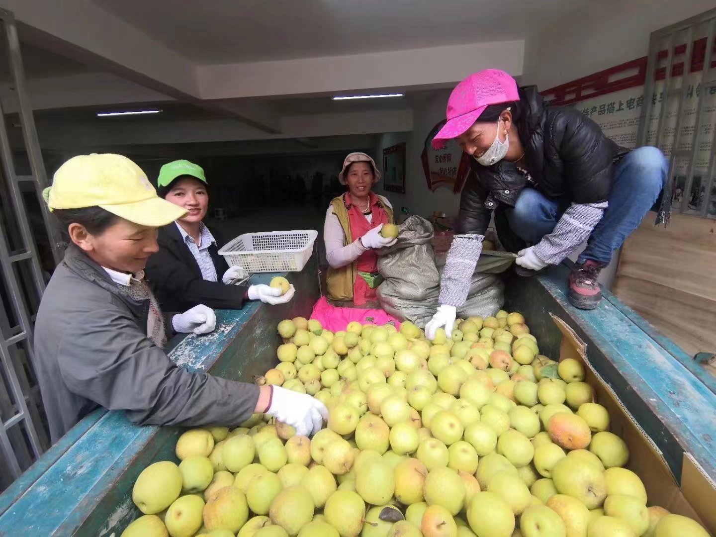 富裕美丽之城 和谐香格里拉｜“变废为宝”，香格里拉市东旺乡拓宽致富路