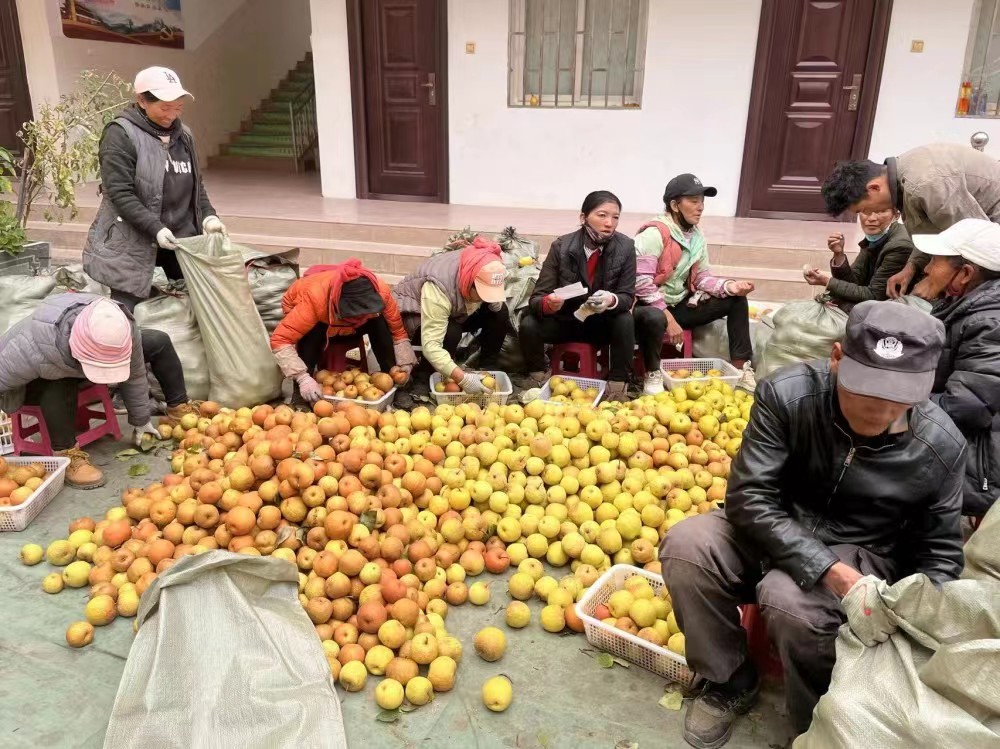 富裕美丽之城 和谐香格里拉｜“变废为宝”，香格里拉市东旺乡拓宽致富路