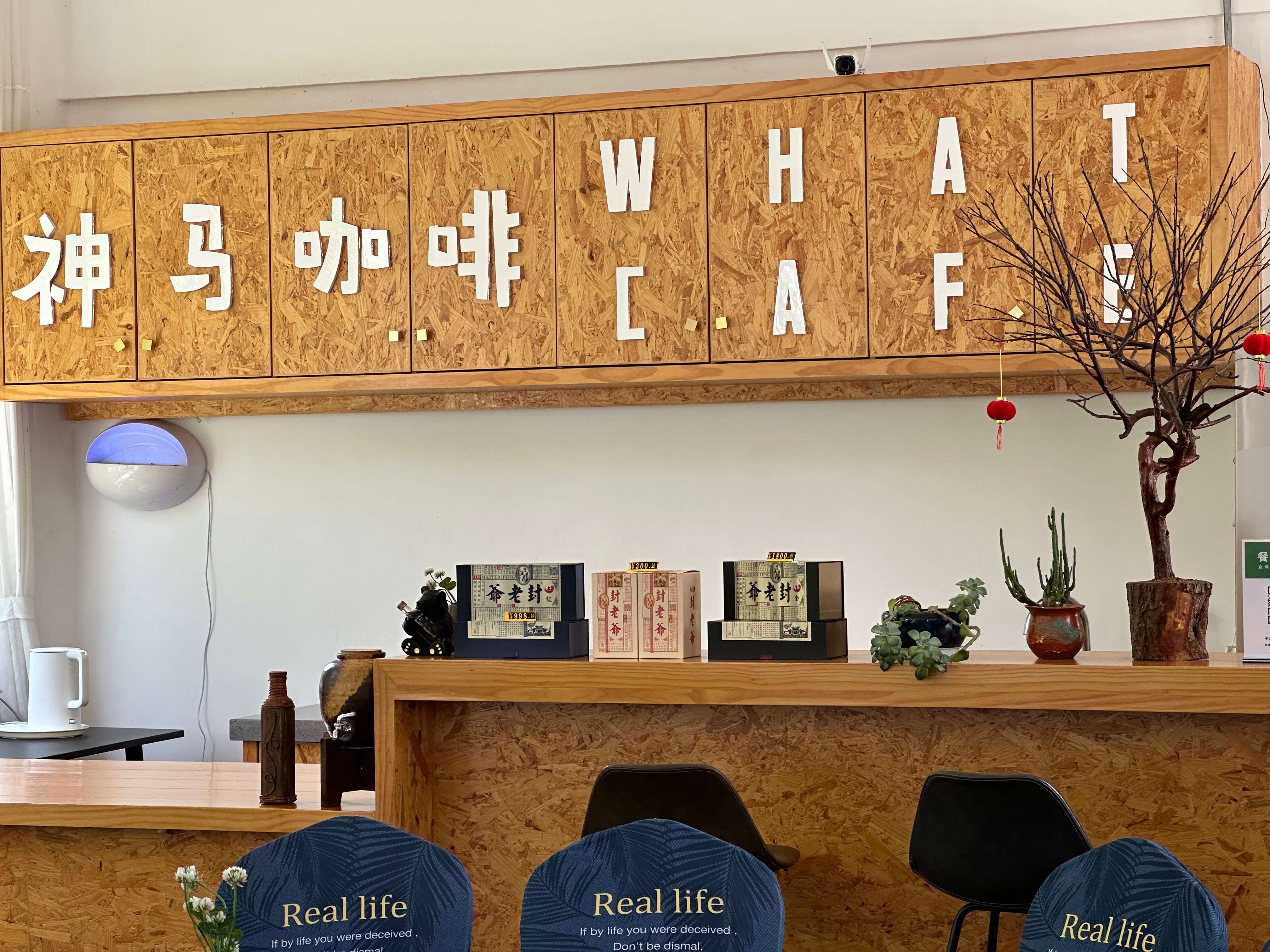 大理美好生活季 艺术家的第二居所  微隐隐于凤羽