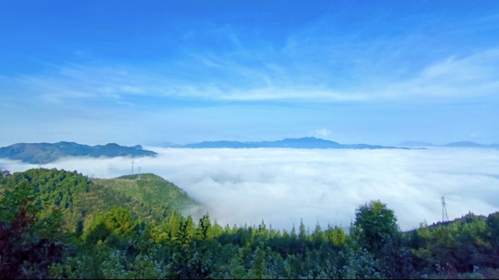 来勐仑,赴一场和鸟儿的“约会”