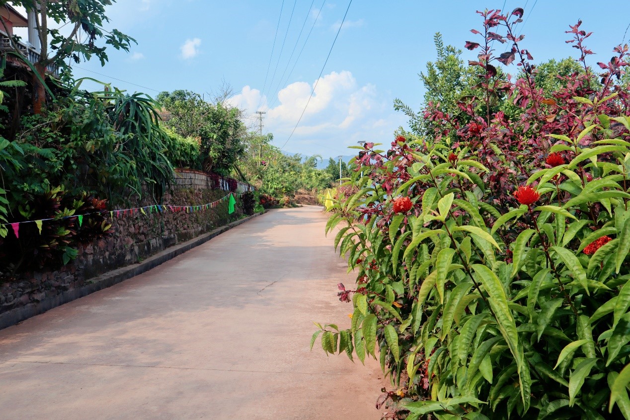 勐腊勐仑：吃好“观鸟经济”这碗“生态饭”