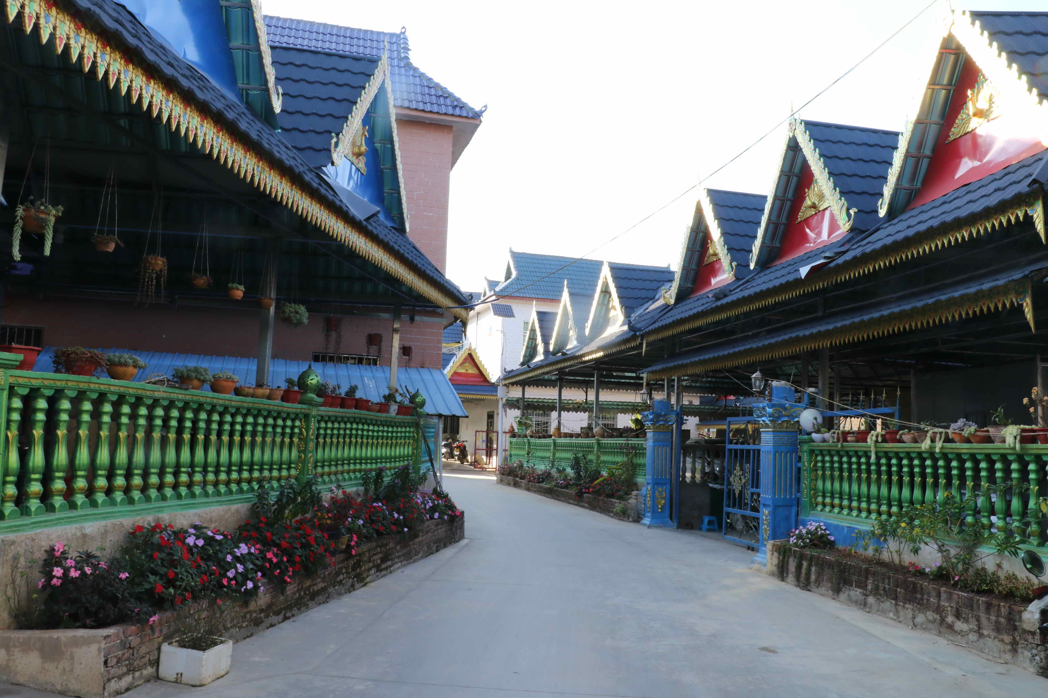 有一种叫云南的生活·一种“象”往的幸福｜勐遮曼朗：探索农文旅融合发展新“稻”路