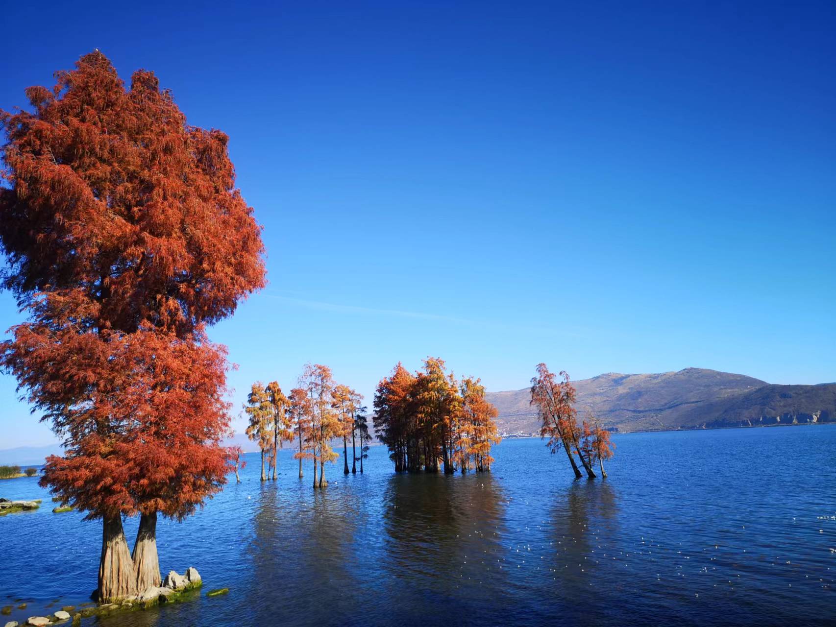 大理美好生活季|藏在山与海之间的浪漫人间