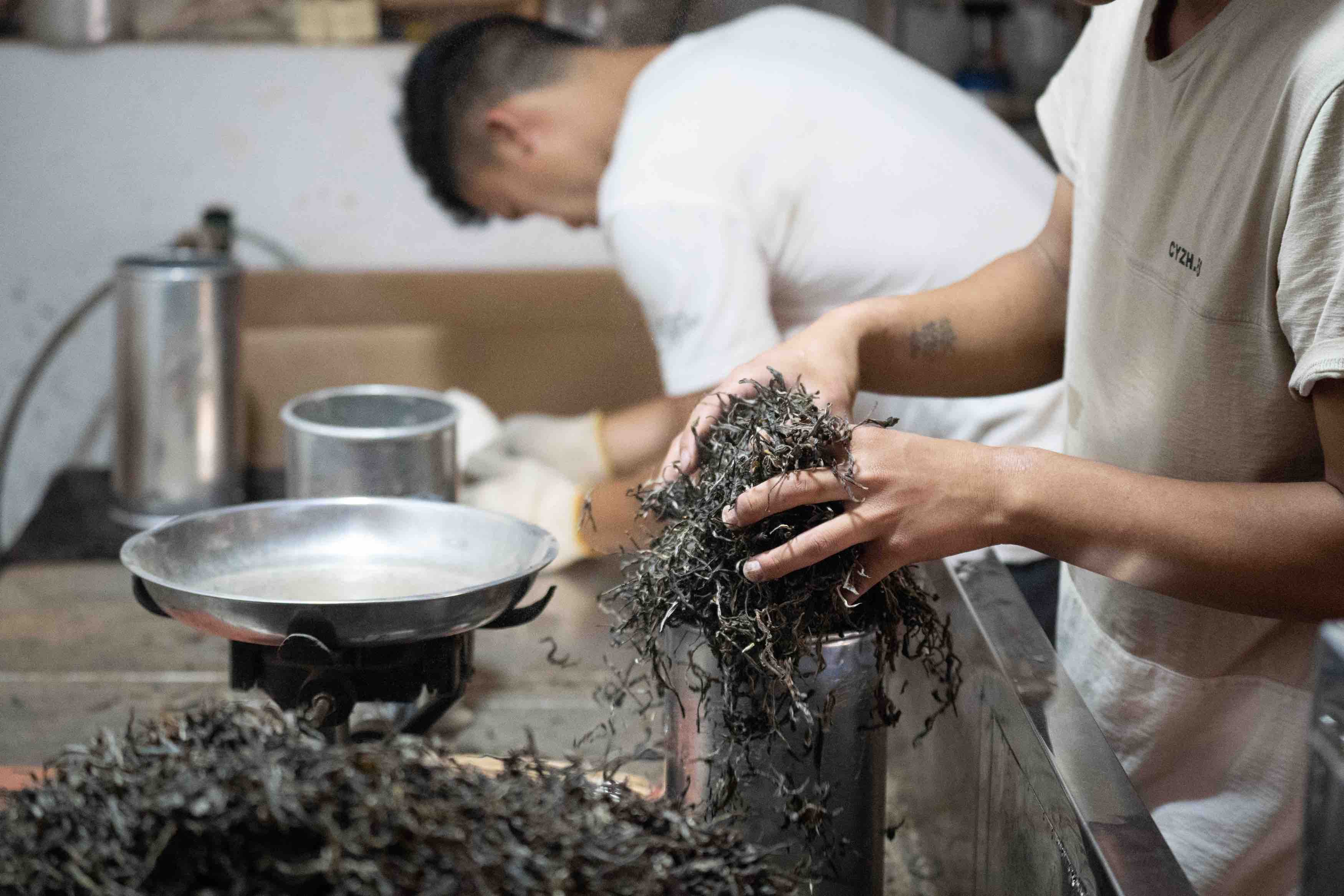 有一种叫云南的生活·一种“象”往的幸福|跟着非遗游勐腊