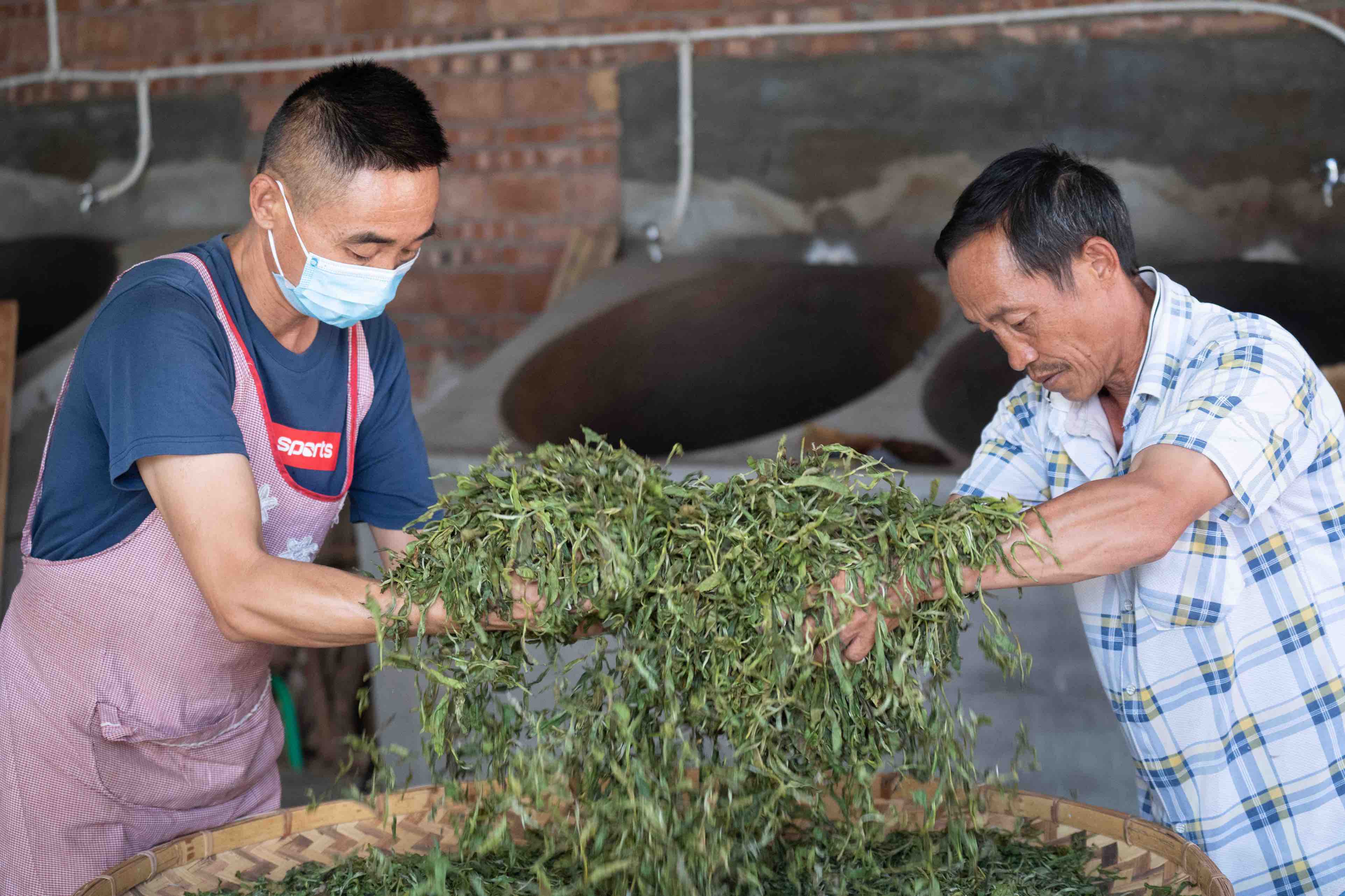 有一种叫云南的生活·一种“象”往的幸福|跟着非遗游勐腊