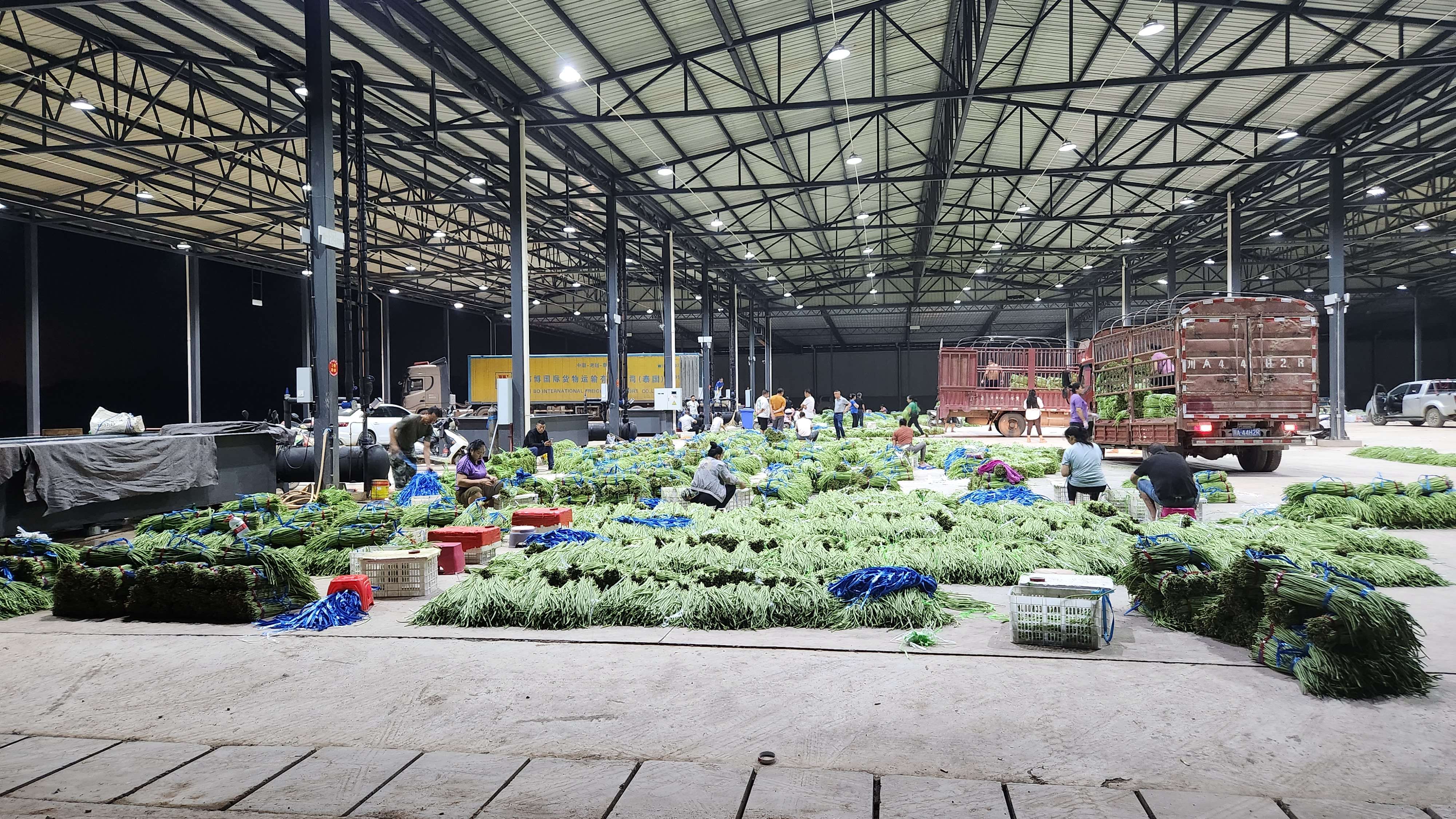 有一种叫云南的生活·一种“象”往的幸福｜冷链物流助力勐捧果蔬一路领“鲜”